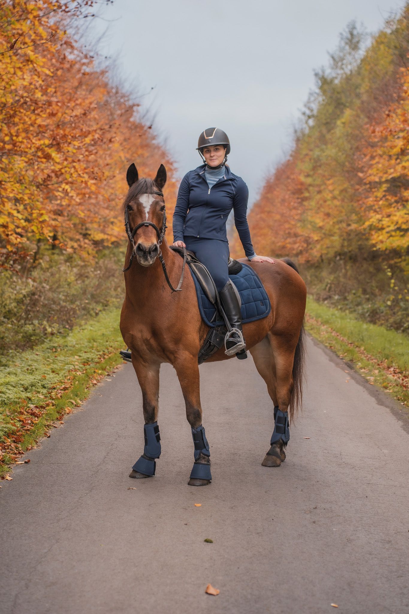 Brown horse and rider demonstrating flexibility exercises on a scenic fall trail.