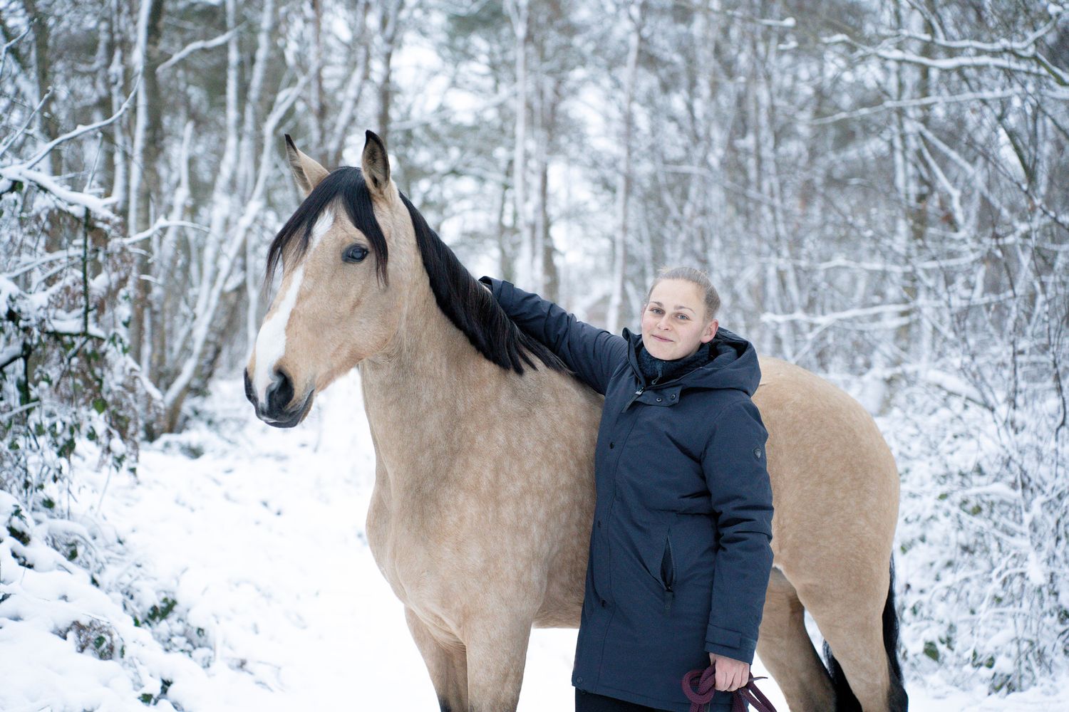 A series of winter portraits showing a palomino horse against snowy forest backdrop.