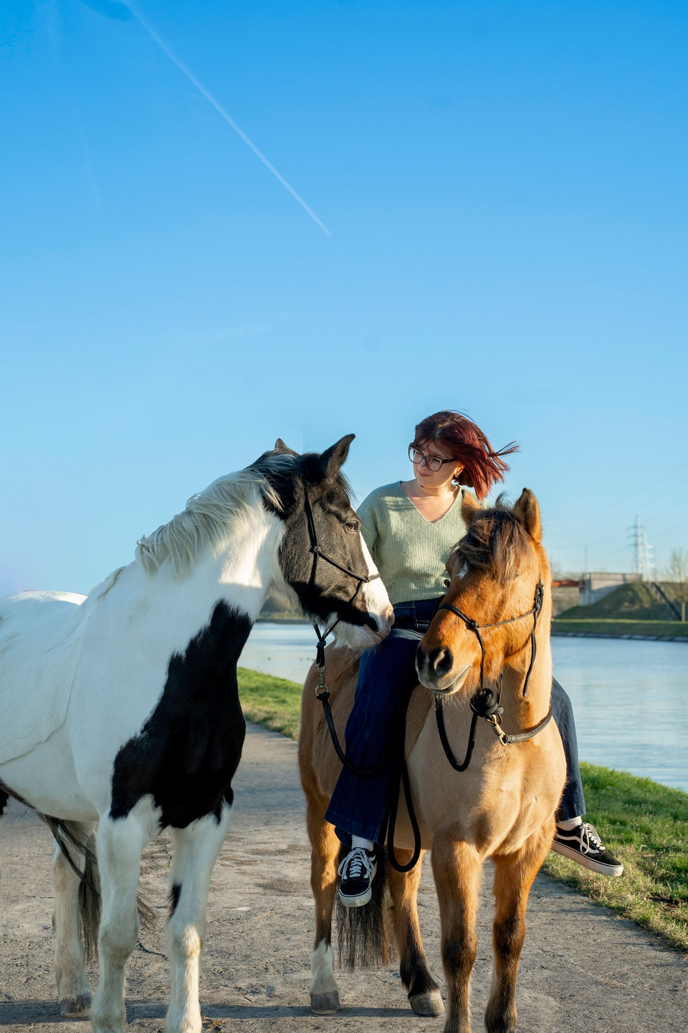 Two horses standing together on path during golden hour photoshoot.