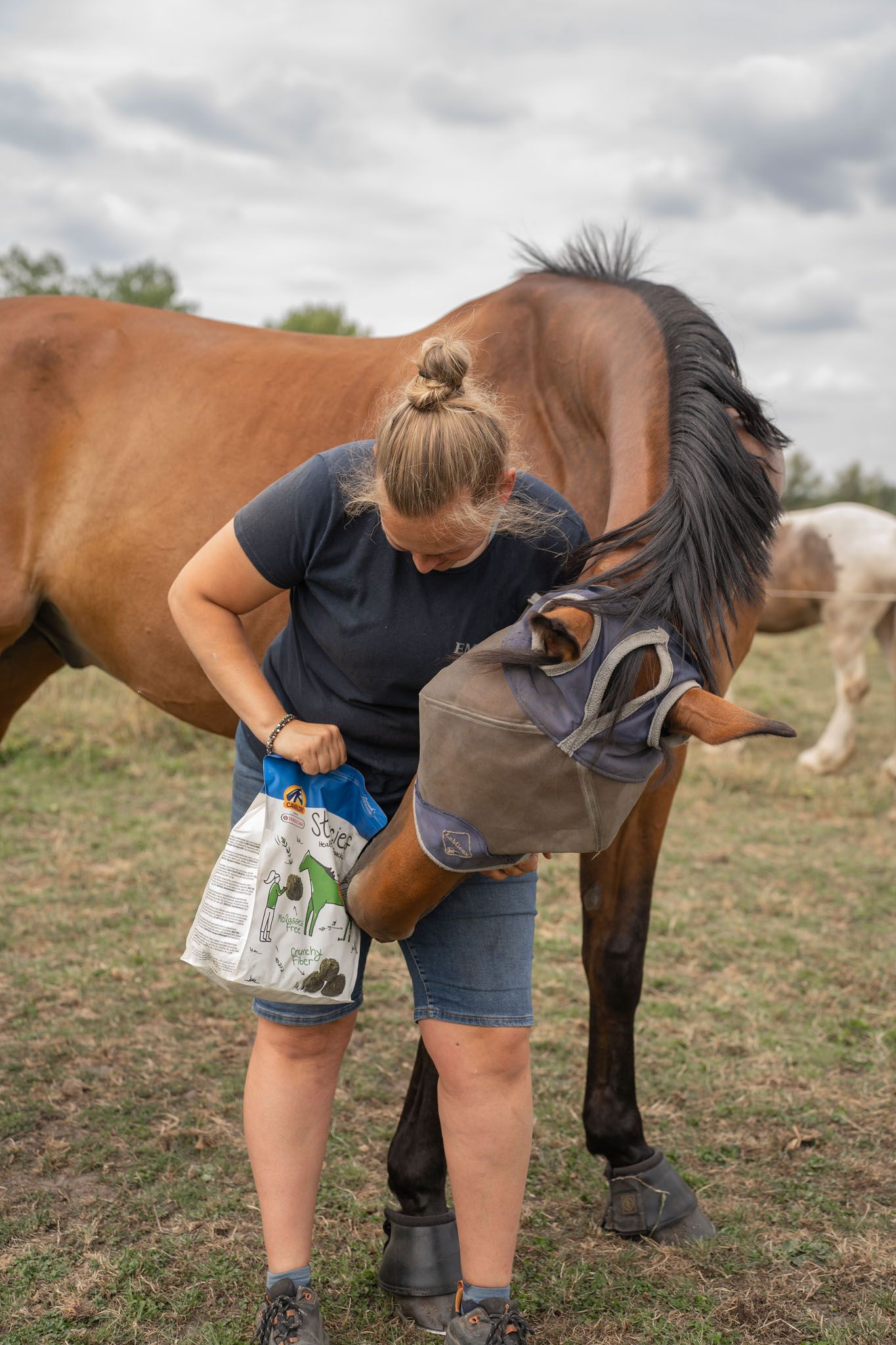 Person tending to horse's hooves in outdoor paddock under cloudy sky.