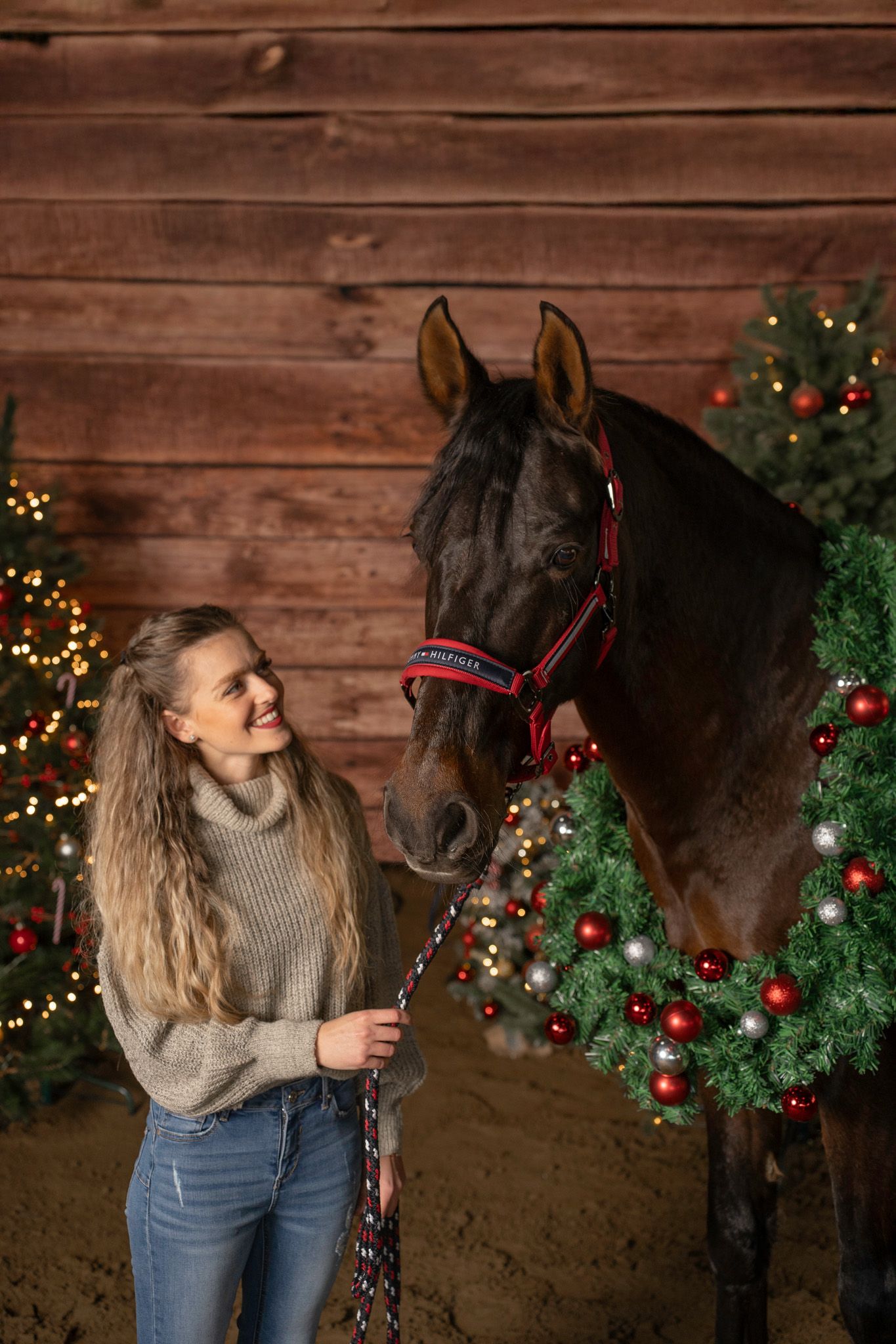 A dark horse stands near festive Christmas decorations against a rustic wooden wall.
