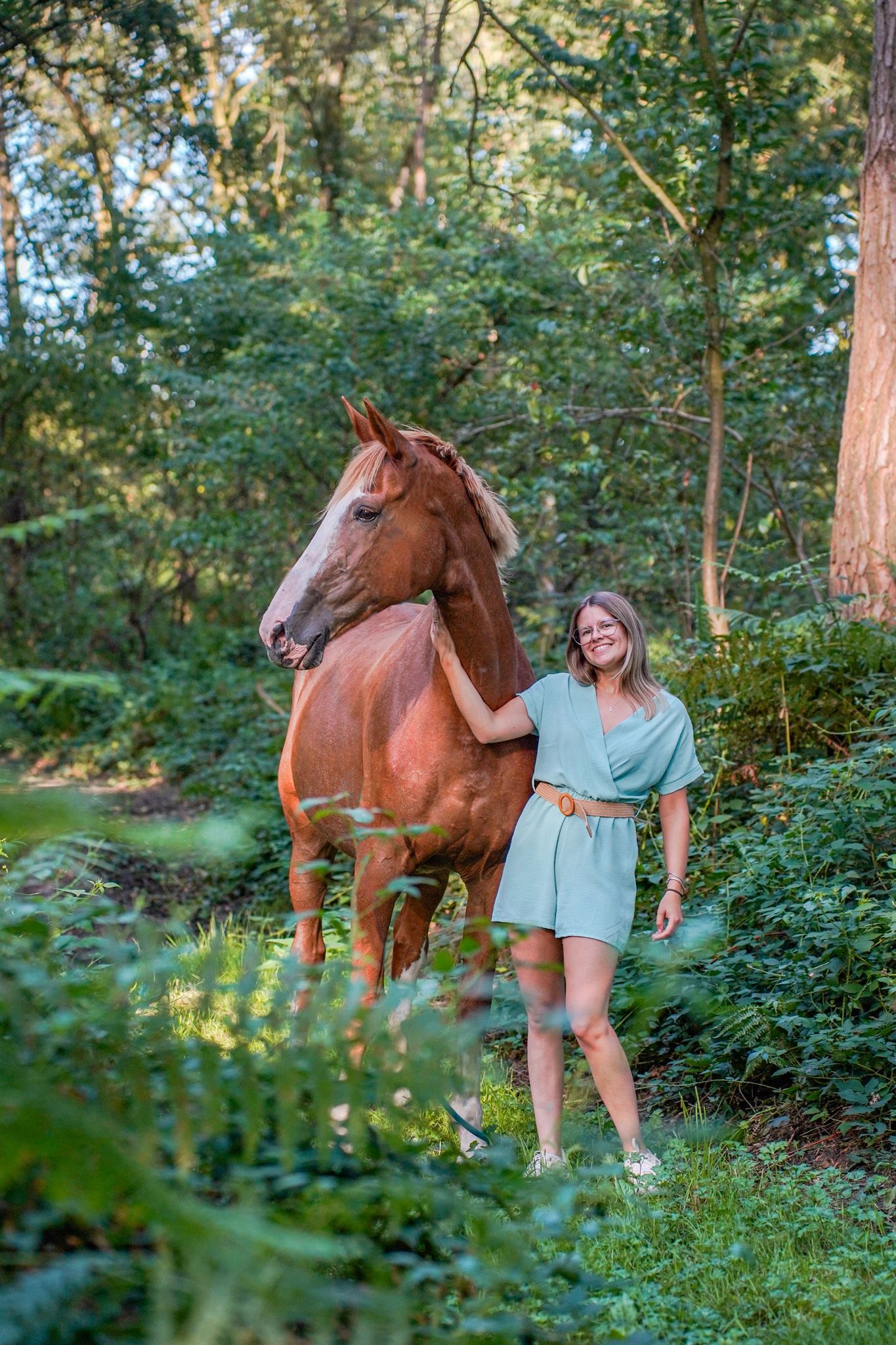 A chestnut horse stands gracefully in a verdant forest clearing during golden hour.