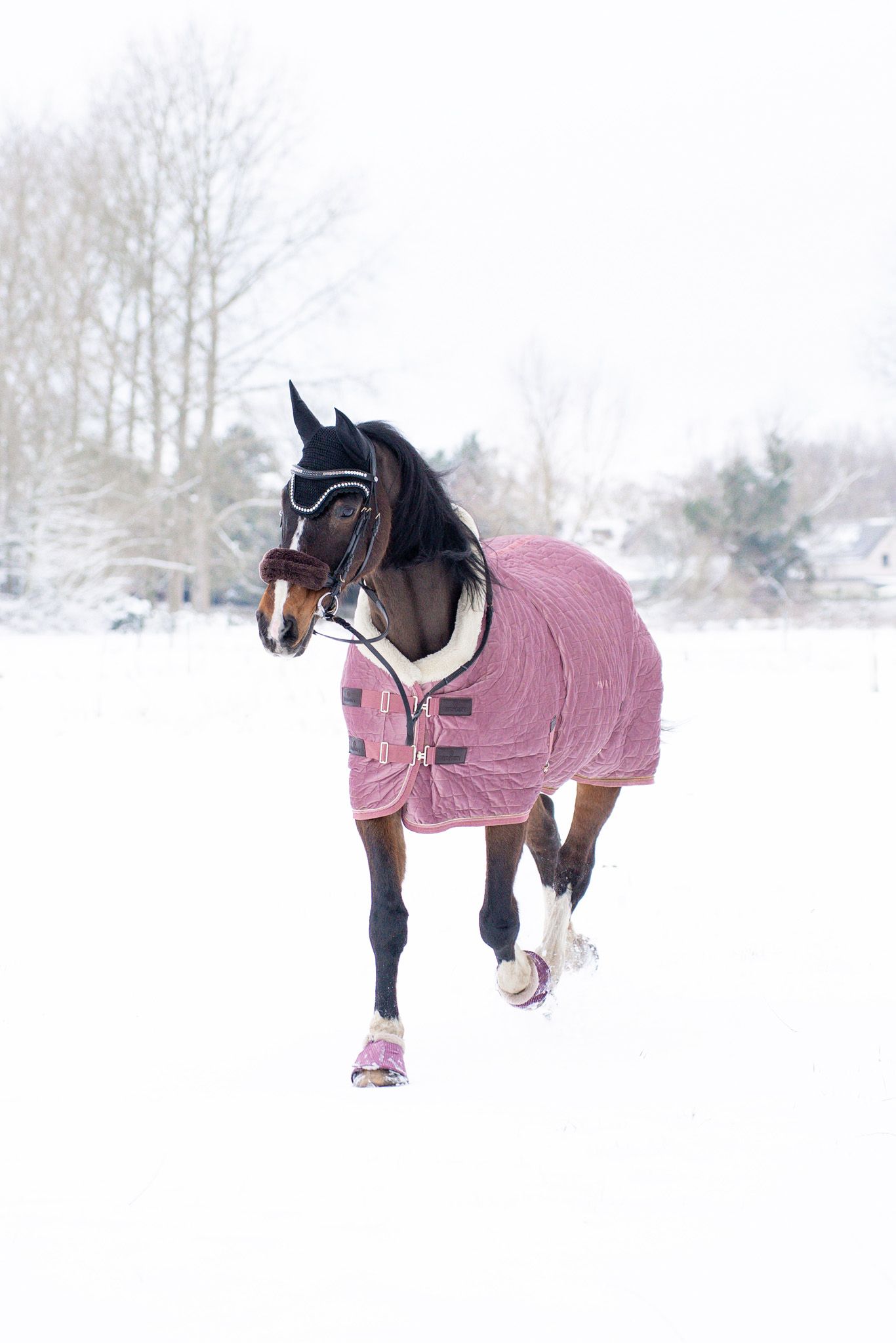 Horse in pink blanket walking through deep snow during winter weather.