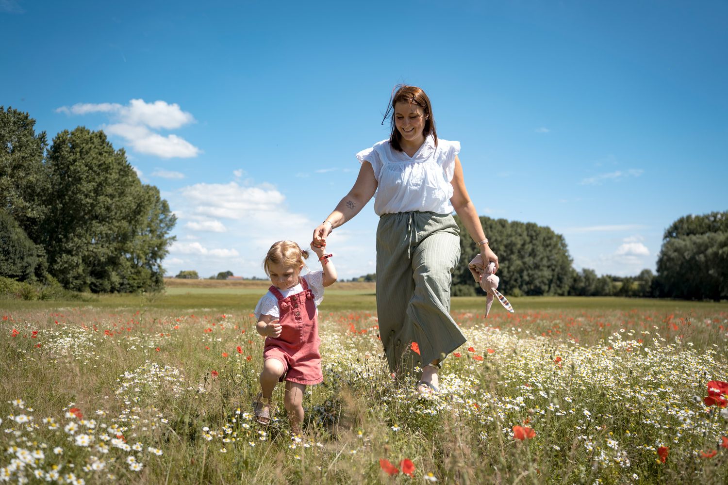Beautiful wildflower field with daisies and poppies on a sunny summer day.
