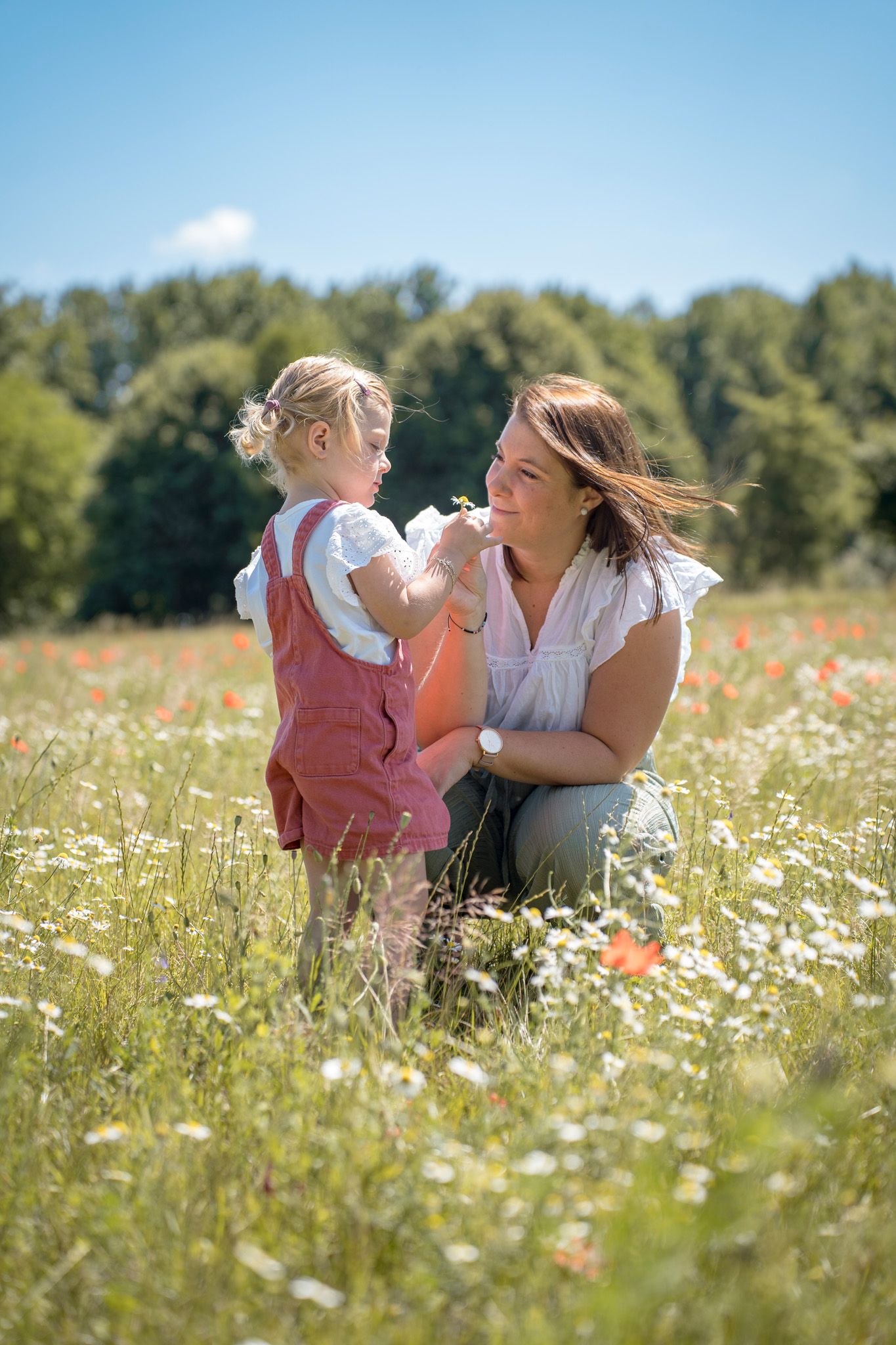 A peaceful scene in a daisy field with red poppies dotting the landscape on a sunny afternoon.