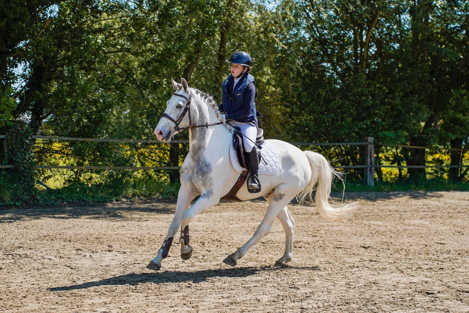 Rider in navy outfit on white horse trotting in sandy arena surrounded by green trees on sunny day.