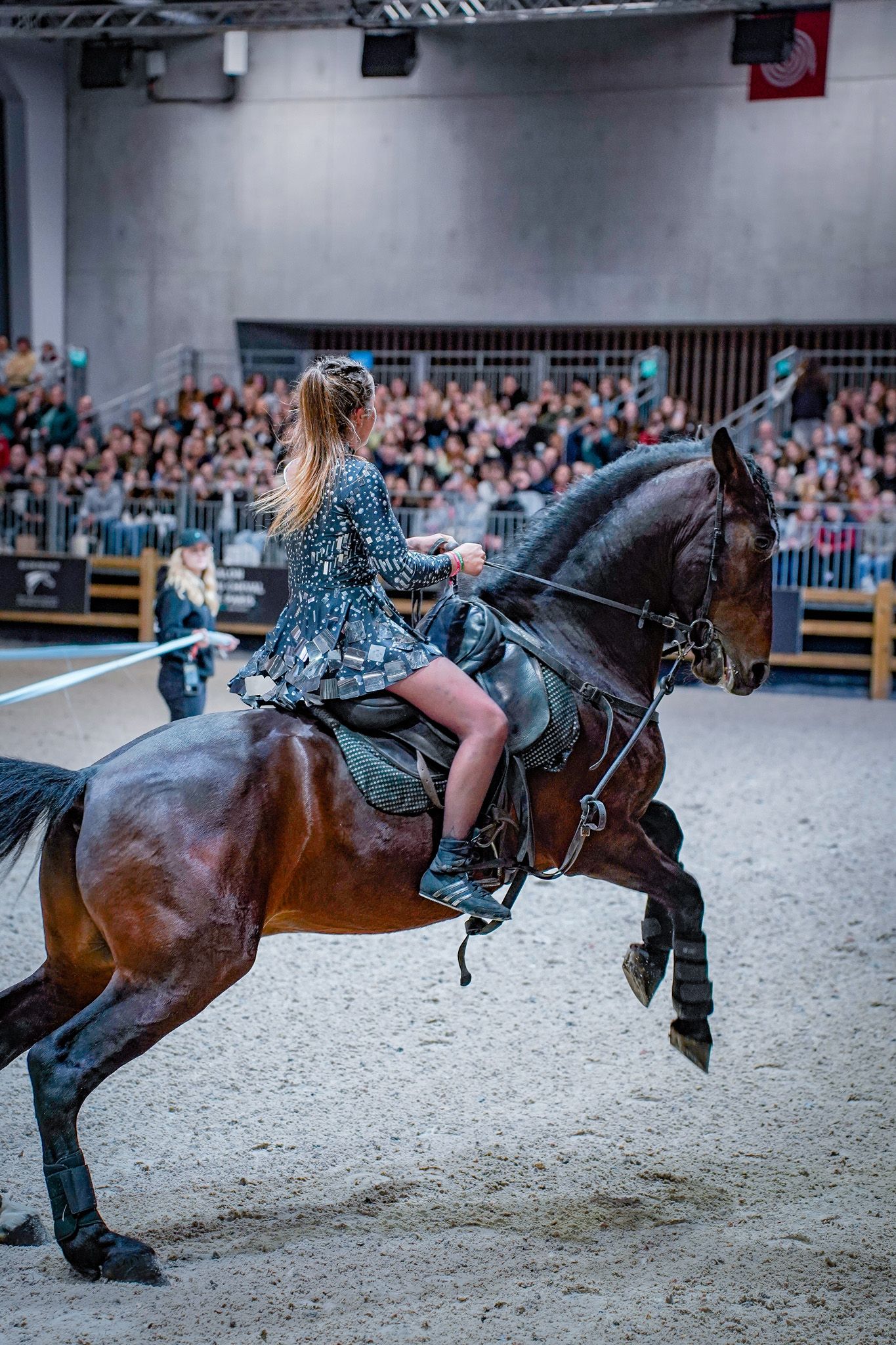 Skilled equestrian demonstrates trick riding on brown horse in indoor arena.