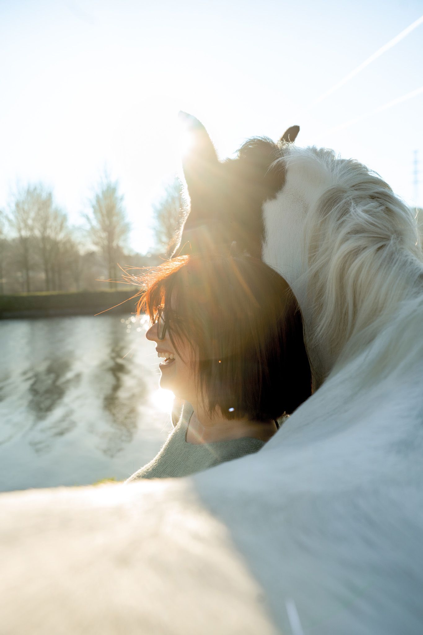 Sunlit winter portrait with white horse against snowy landscape.