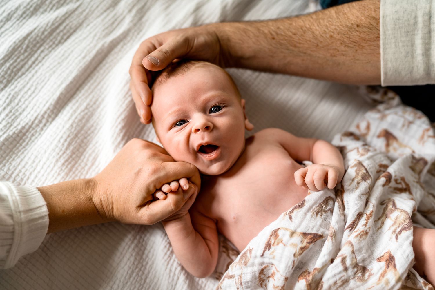 In-home newborn photography in Moore County, NC