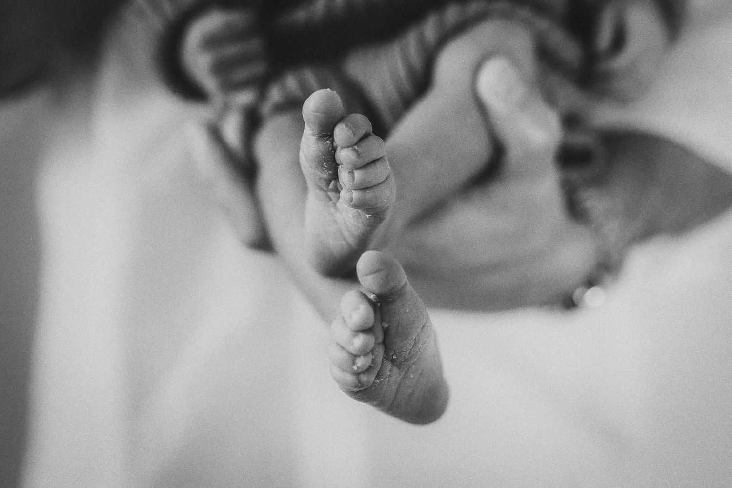 In-home newborn photography in Moore County, NC