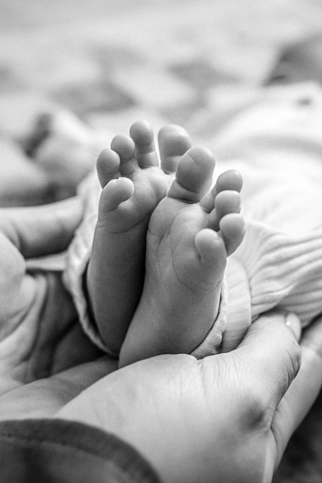 In-home newborn photography in Moore County, NC