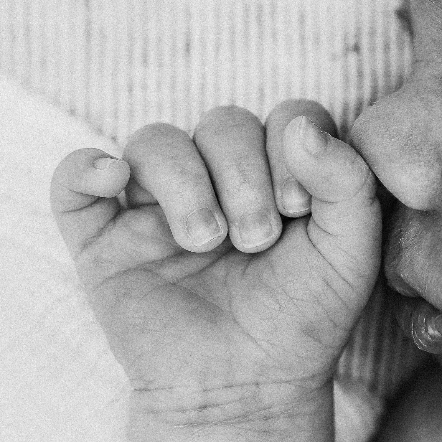 In-home newborn photography in Moore County, NC