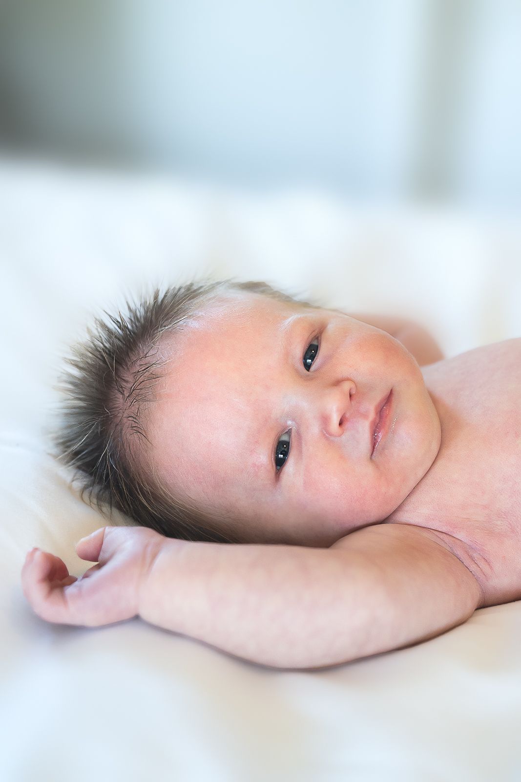 In-home newborn photography in Moore County, NC