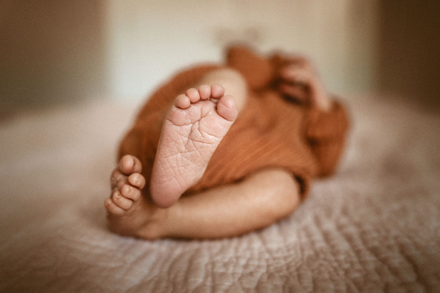 In-home newborn photography in Moore County, NC