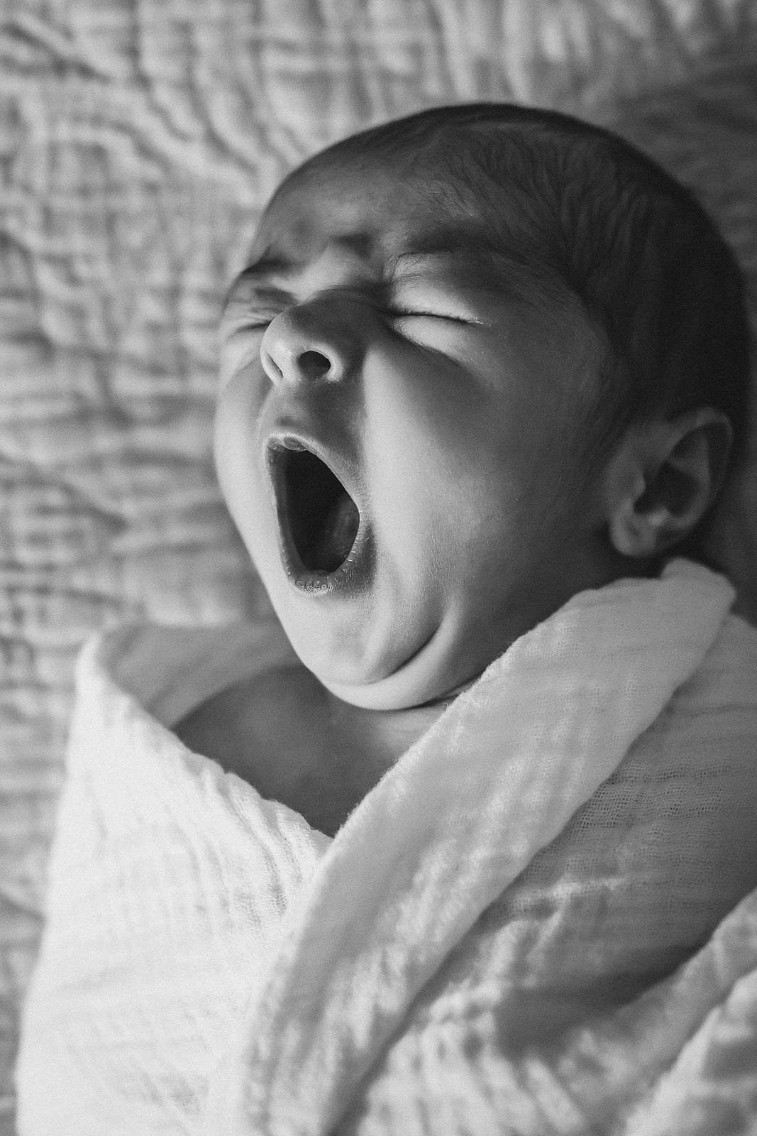In-home newborn photography in Moore County, NC