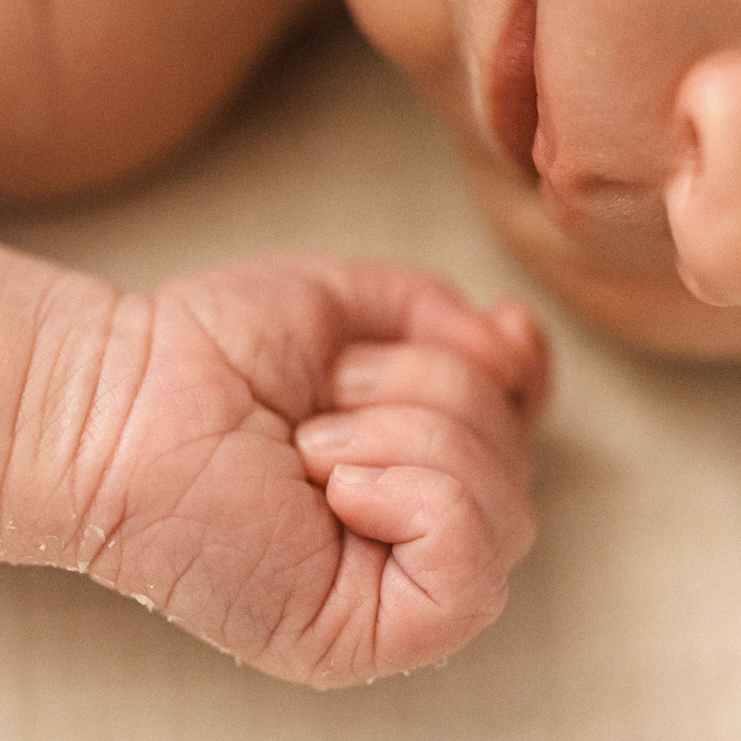 In-home newborn photography in Moore County, NC