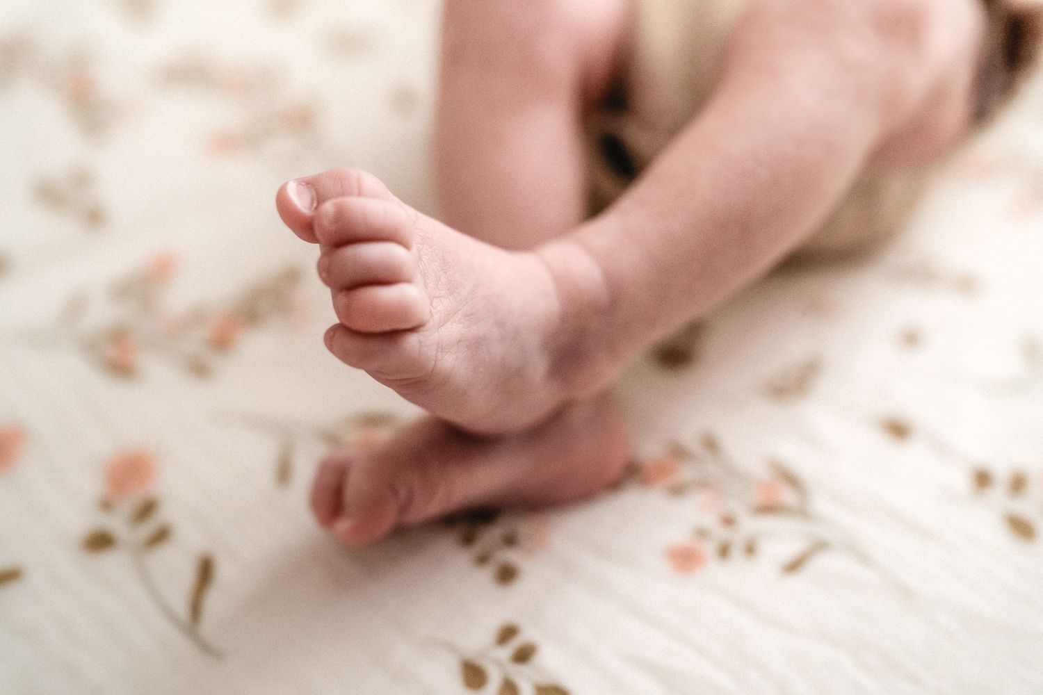 In-home newborn photography in Moore County, NC