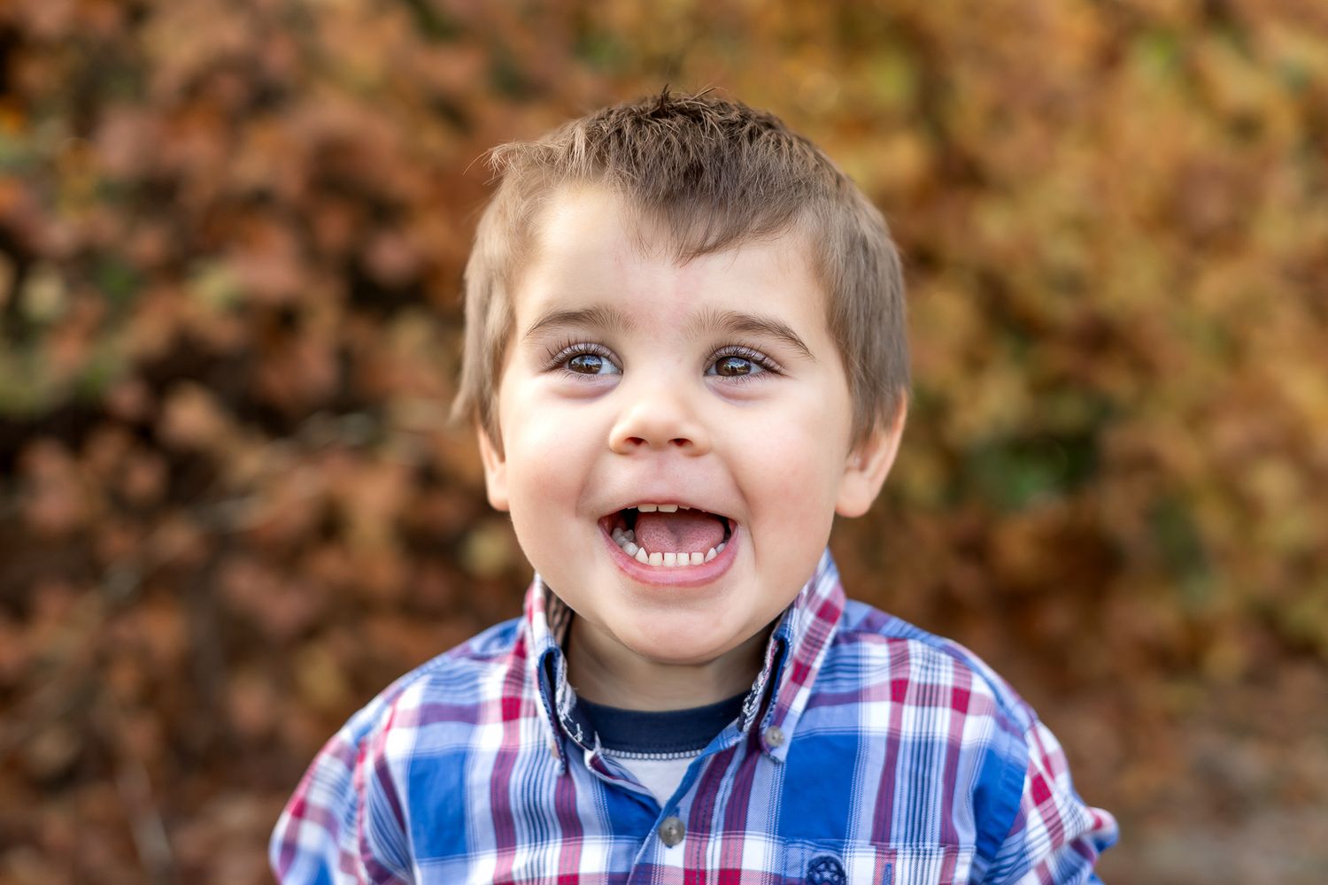 Outdoor preschool portraits in Moore County, NC