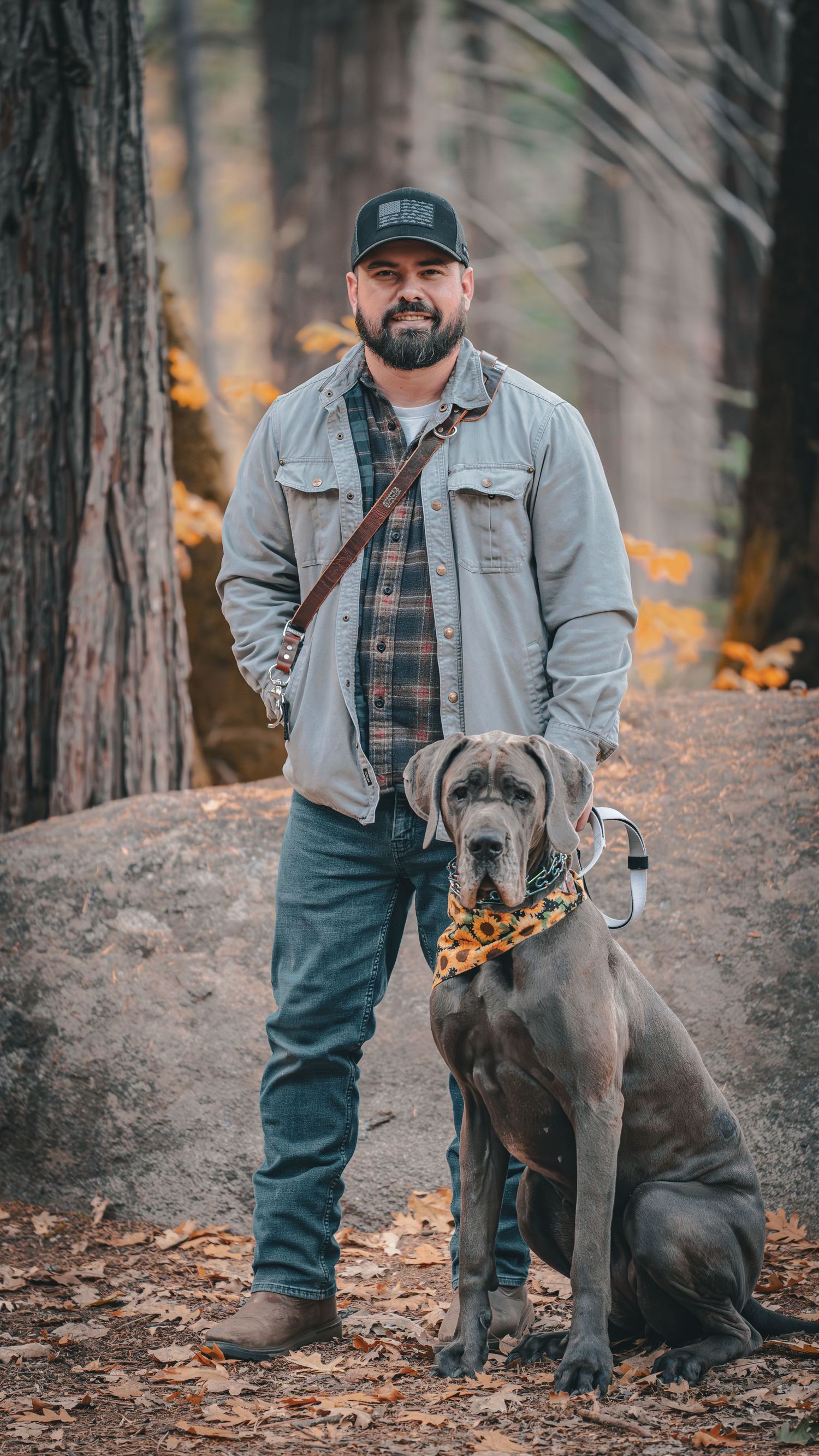 Bearded man in flannel and cap stands with a large gray Great Dane wearing a sunflower bandana in an autumn forest. Merced Wedding Photograp