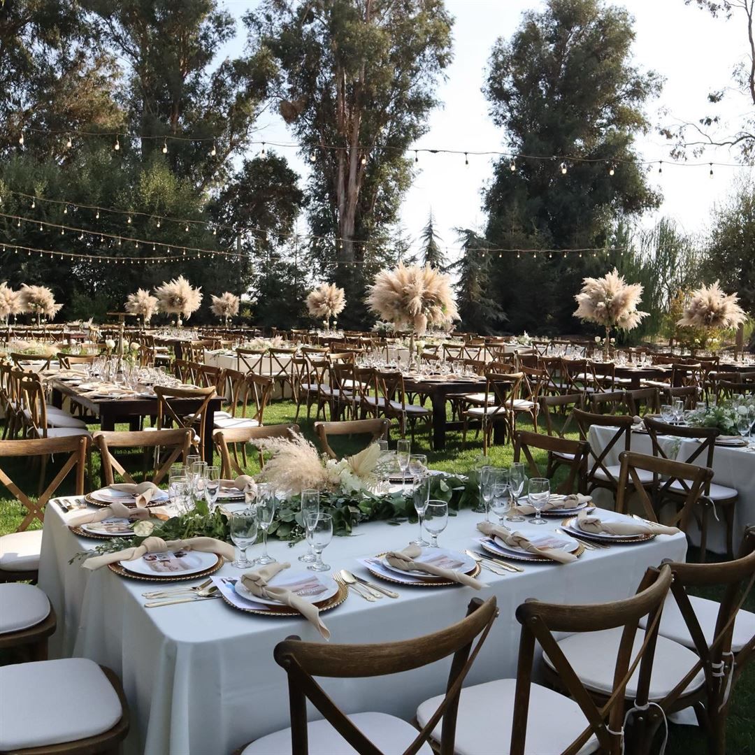Elegant outdoor wedding reception with rustic wooden chairs, white tablecloths, pampas grass centerpieces, and string lights among trees.