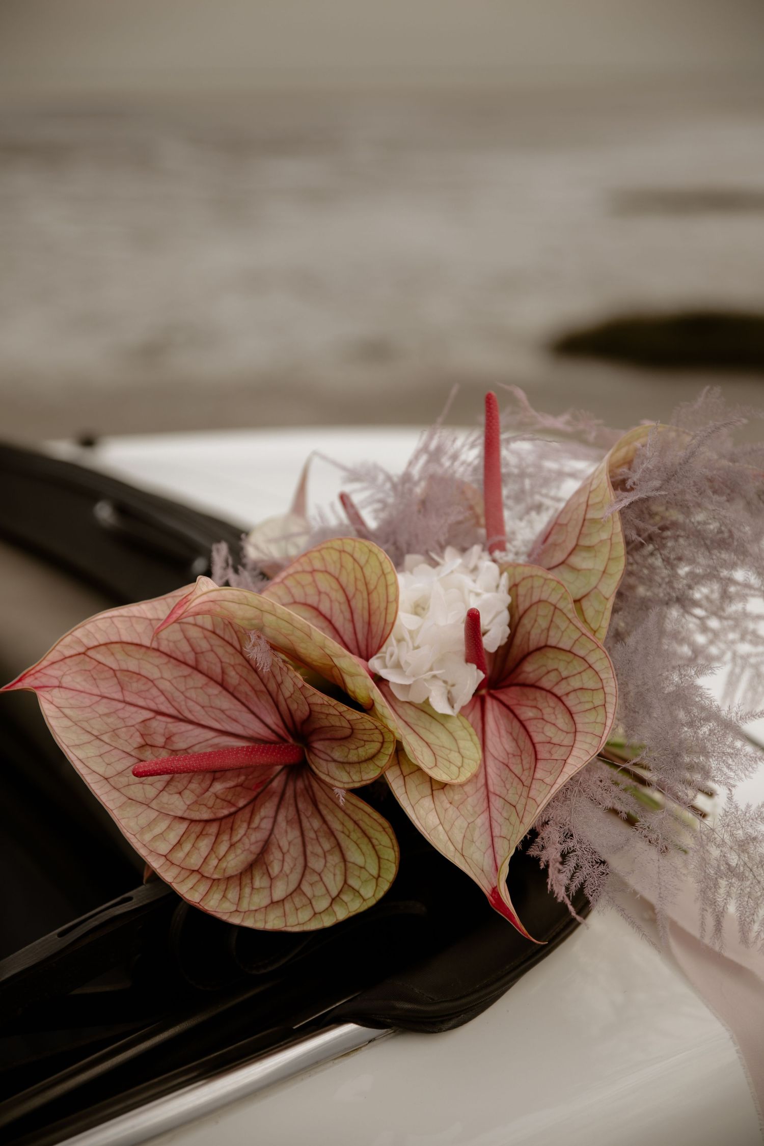 photographe Bassin Arcachon mariage Andernos couple