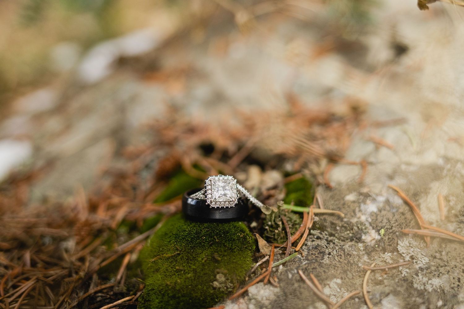 Diamond engagement ring sitting on moss-covered stone in nature.