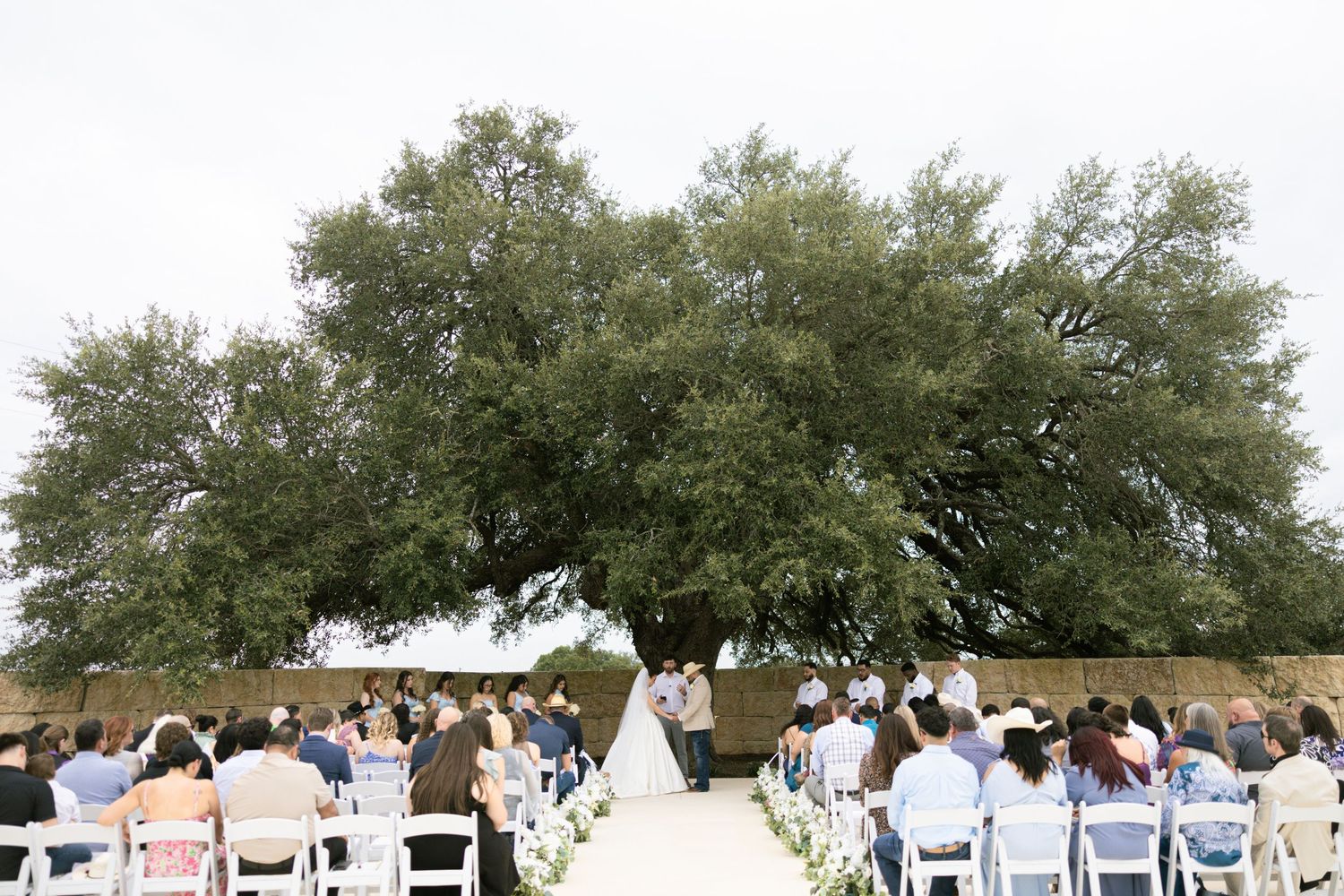 An outdoor wedding ceremony setup with white chairs under a majestic oak tree.