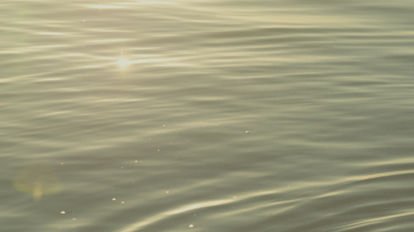 Gentle ripples create a mesmerizing pattern on calm water with a soft green-gold tint in natural lighting.