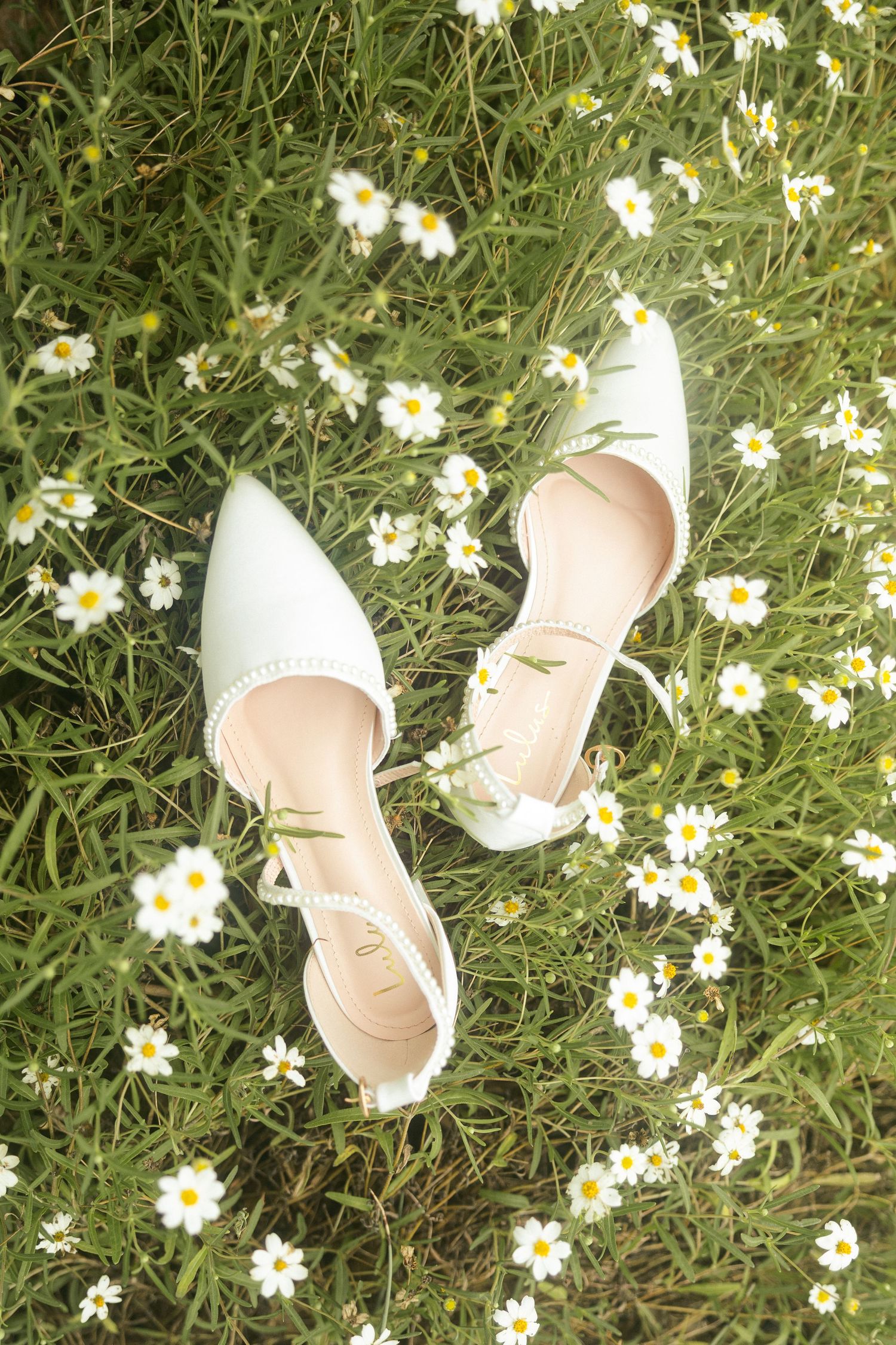White pointed-toe bridal heels with pearl trim resting among blooming white daisies in green grass.
