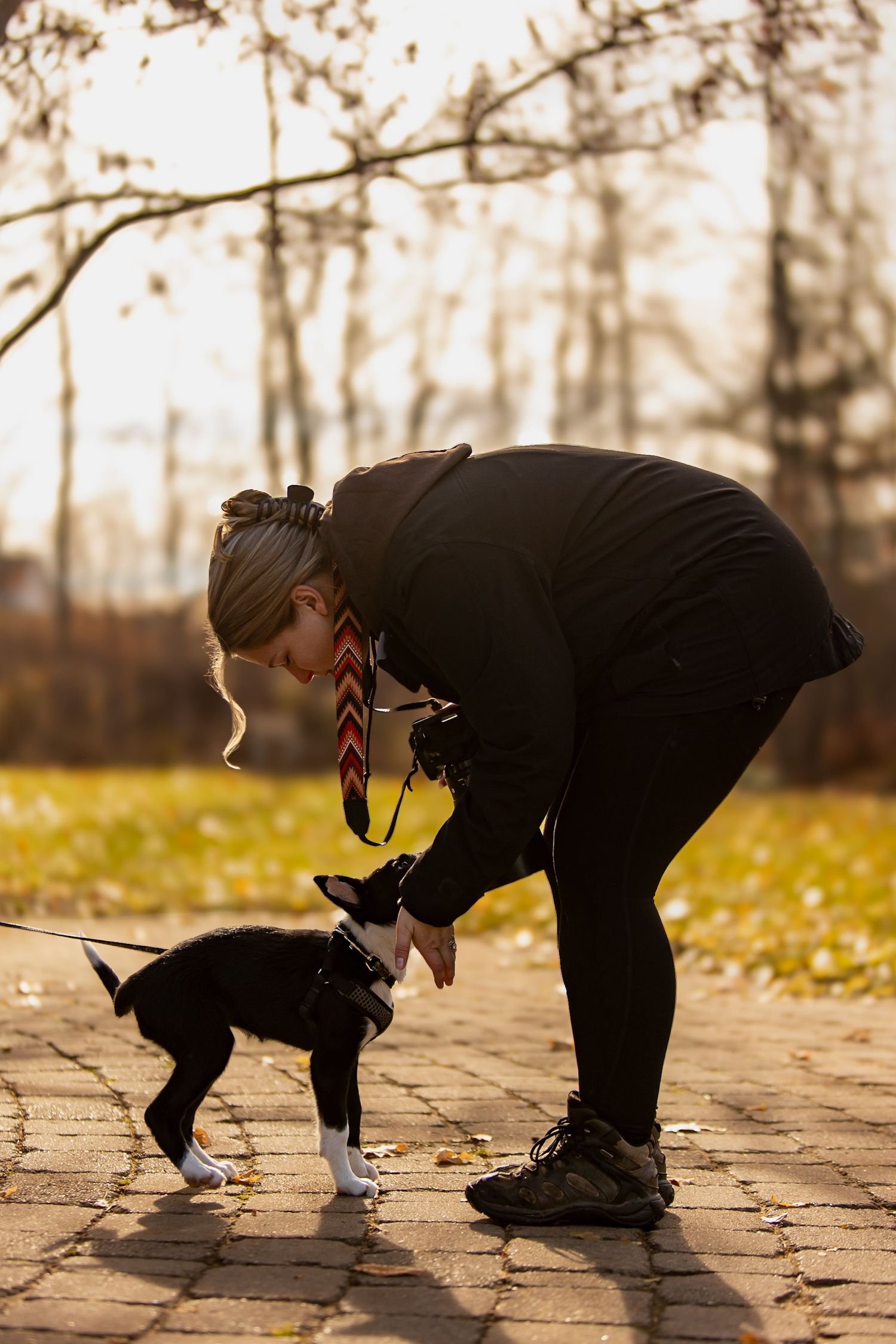 Person in black clothing bends down to pet a small black and white puppy on a brick path during golden hour.