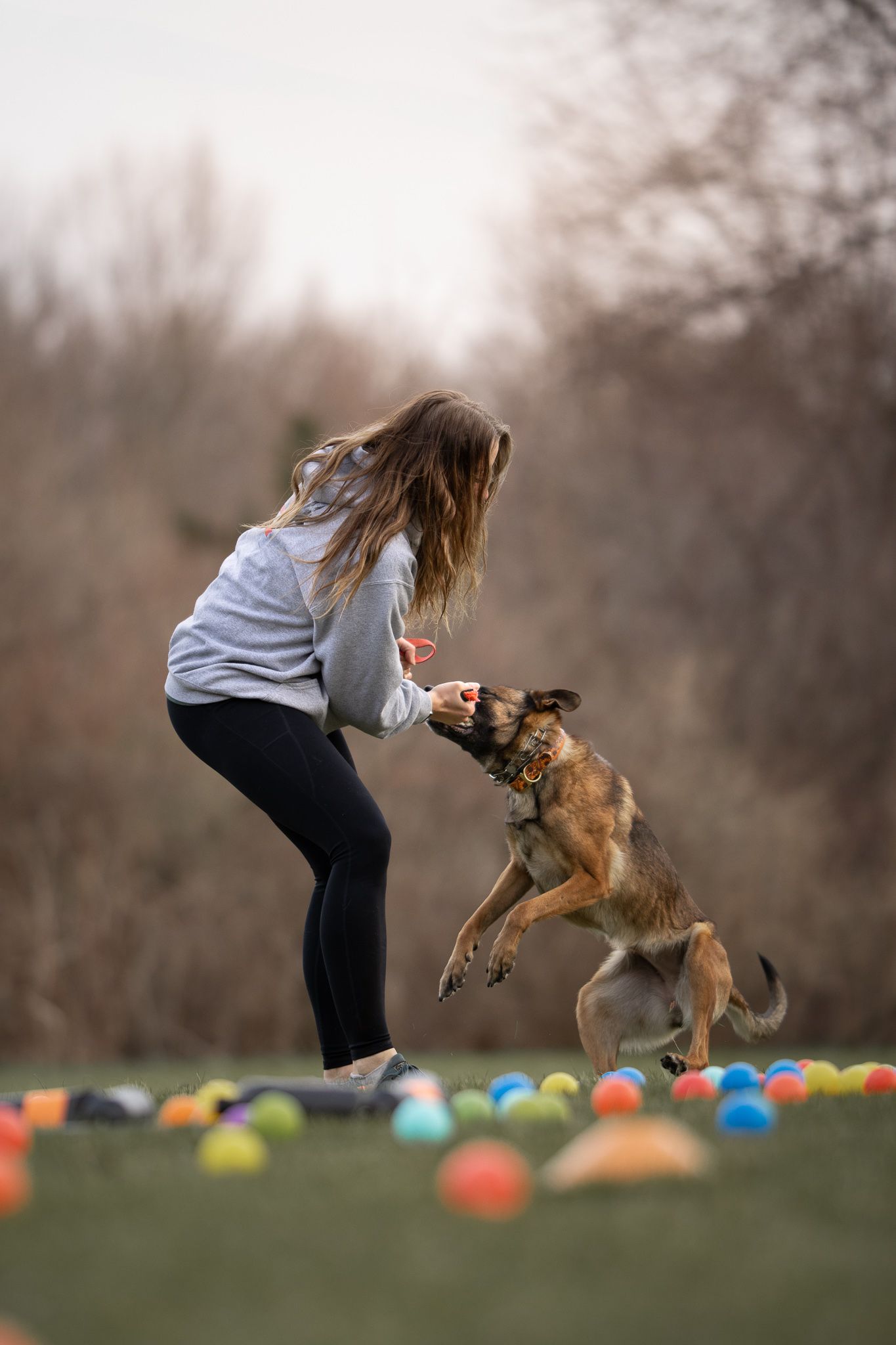 A dog jumps up to catch a treat while playing with colorful toys scattered on the grass.