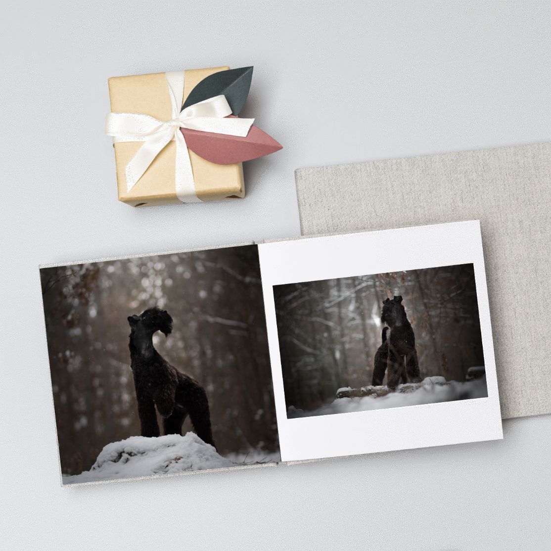 Black and white photographs of dogs in snowy forest settings displayed with decorative elements.