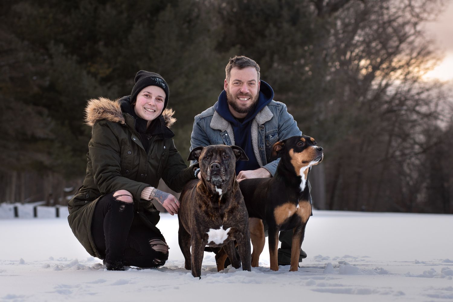 People and dogs playing together in a snowy winter landscape during sunset.
