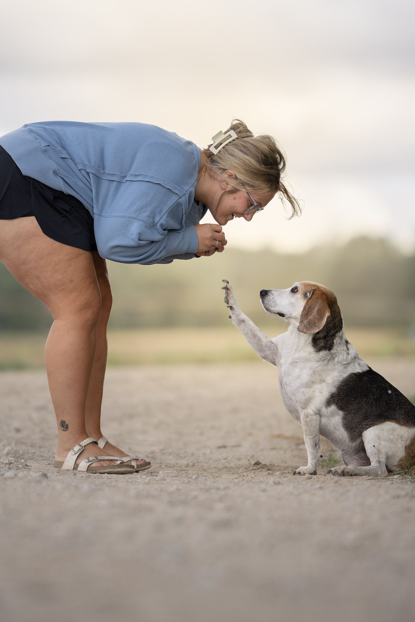 A person in blue bends down to interact with a small dog on a sandy beach at sunset.