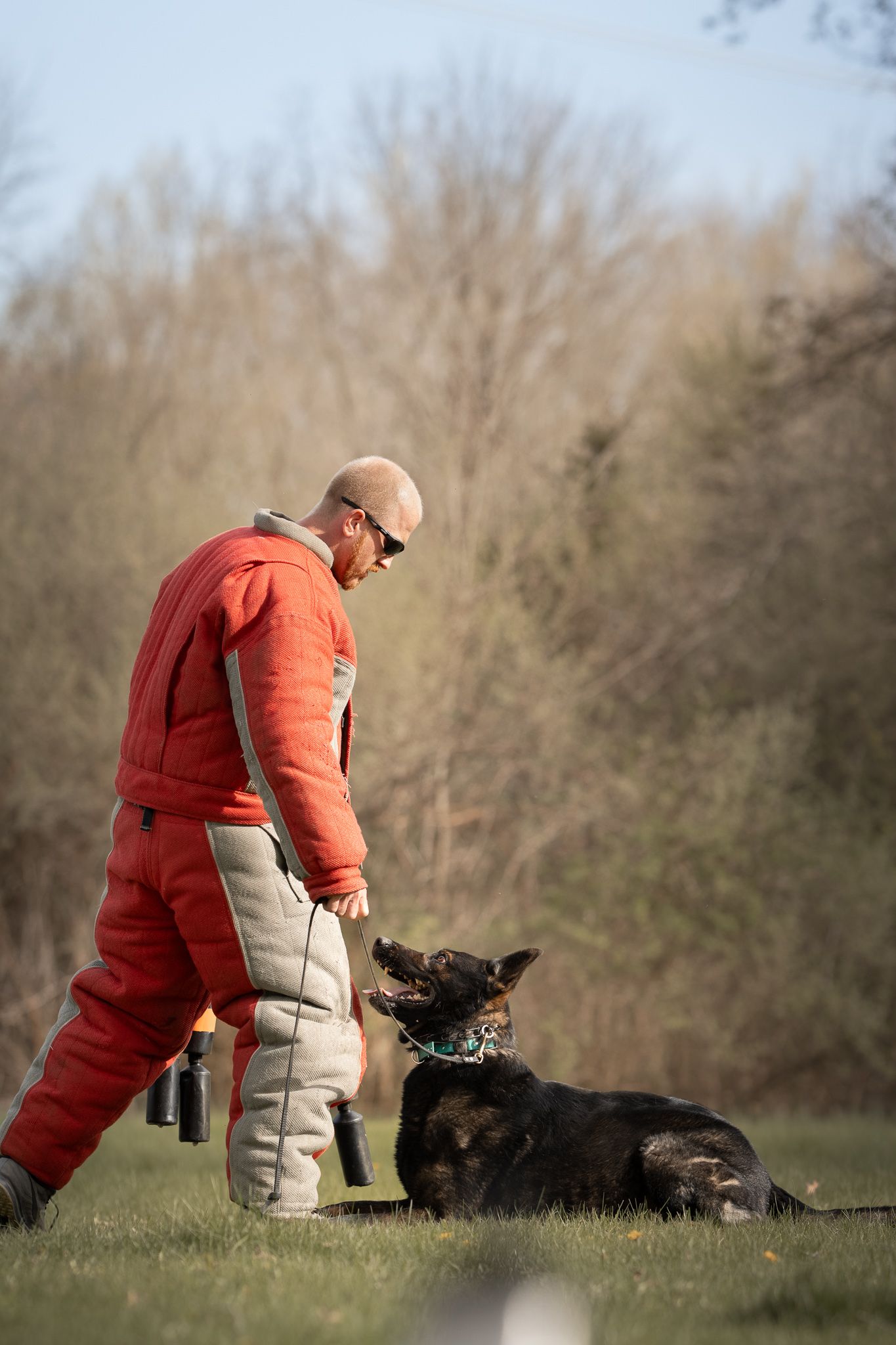 A person in an orange jacket trains a dog on grassy terrain during an outdoor training session.