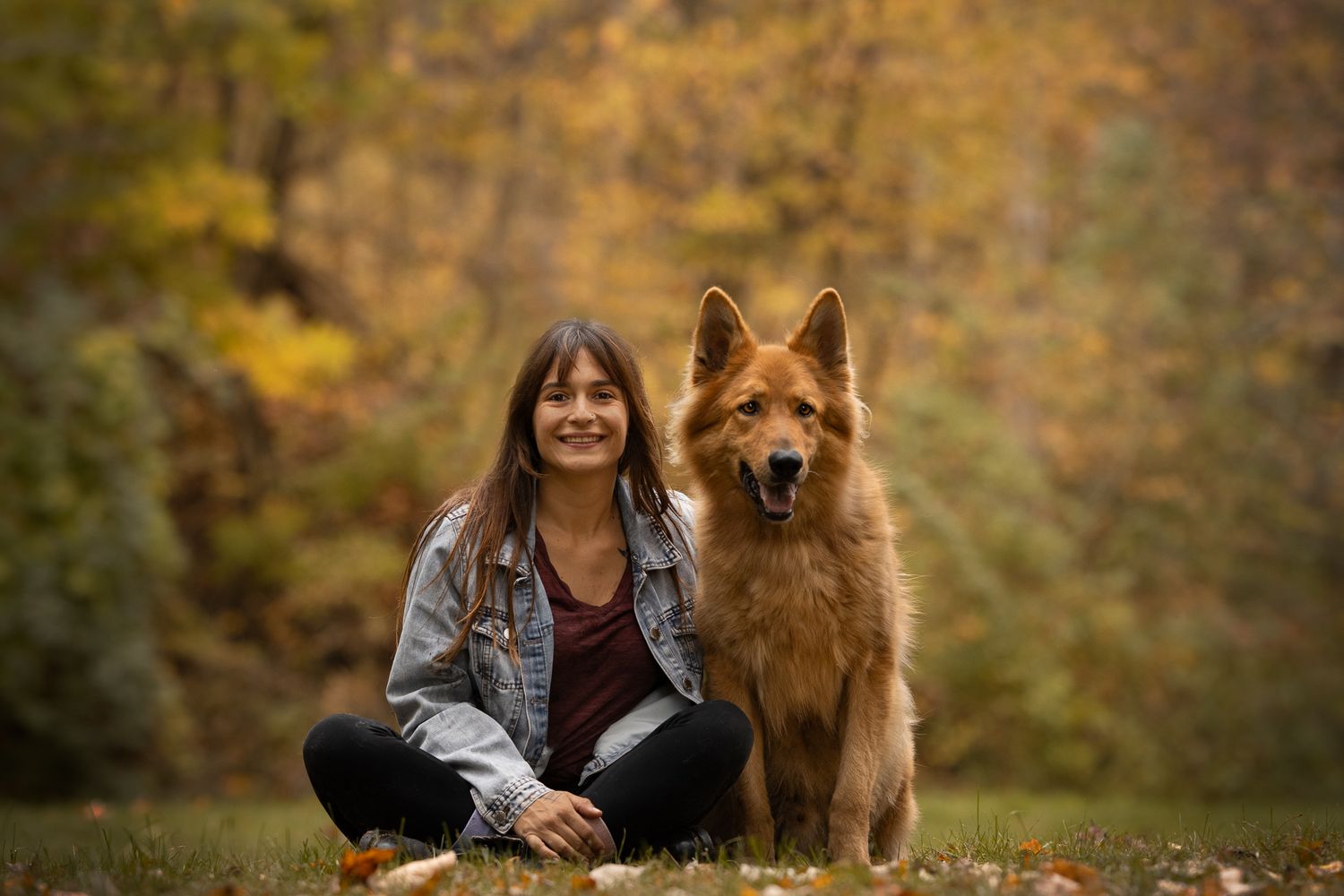 A brown dog and person sit together in a colorful autumn forest setting during a photo session.