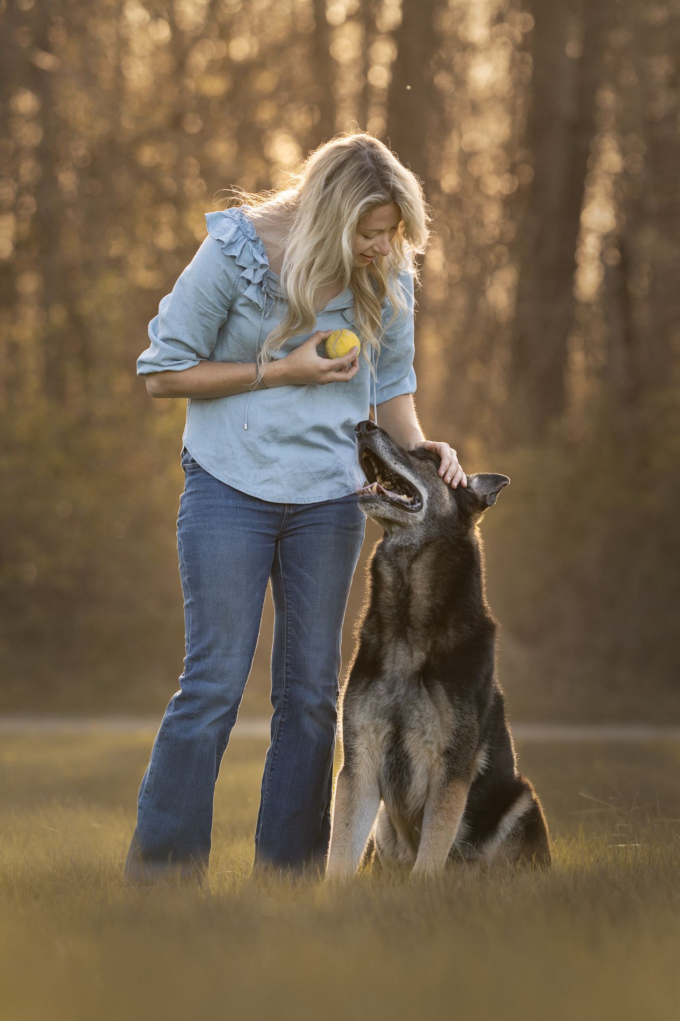 German Shepherd dog and owner playing together in a sunlit field at dusk with a ball toy.