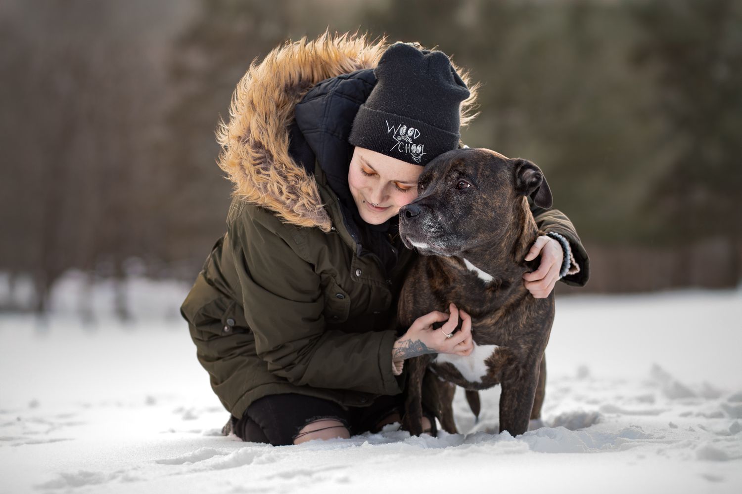 A large grey pitbull type dog plays in the snow with someone wearing a dark winter coat.