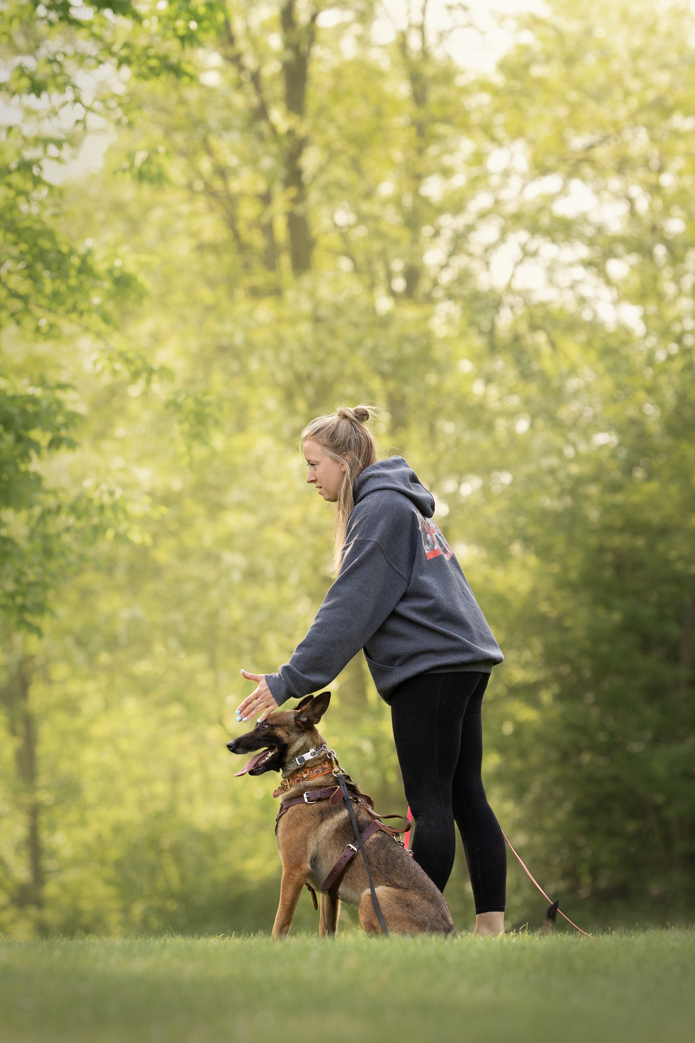 A person in a gray hoodie trains with their brown dog on a grassy field during a golden-lit evening.