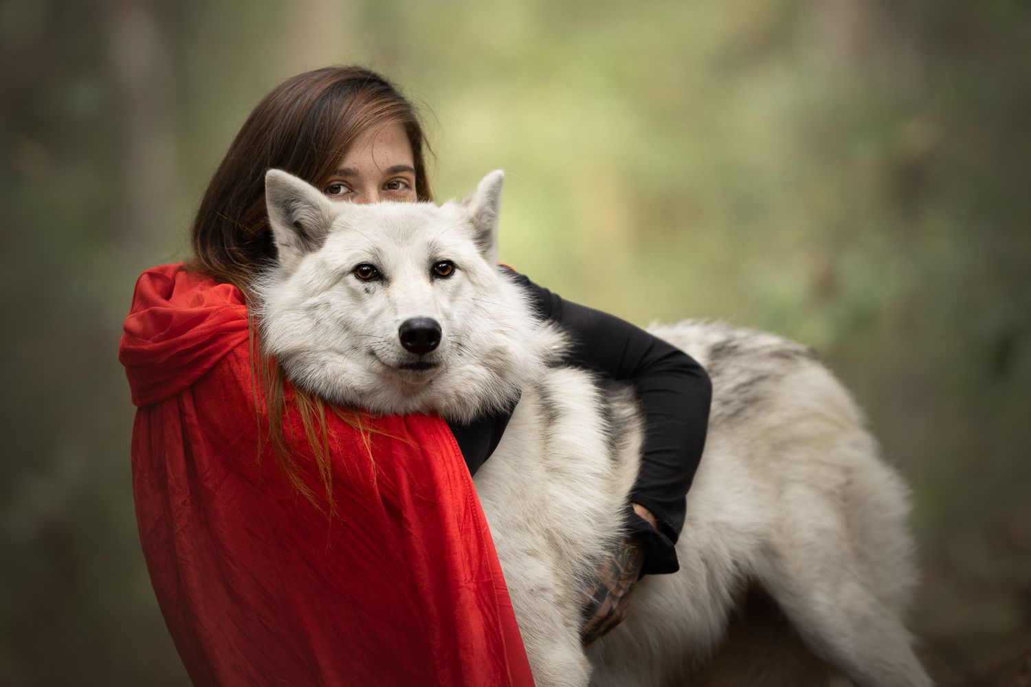 A fluffy white dog cuddles against someone wearing a vibrant red cloak in a dreamy forest setting.
