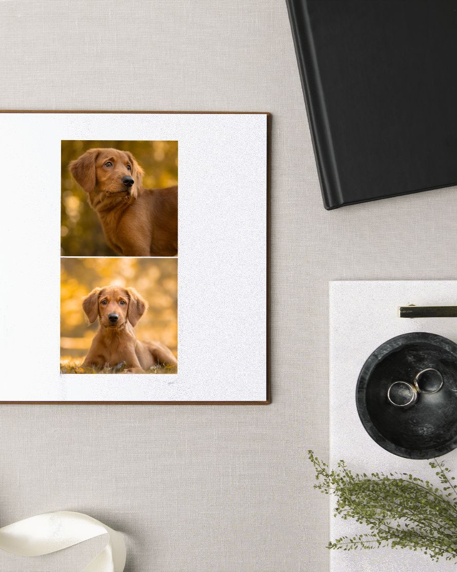 Golden retriever portrait diptych in white frame styled with black book and dried botanicals.