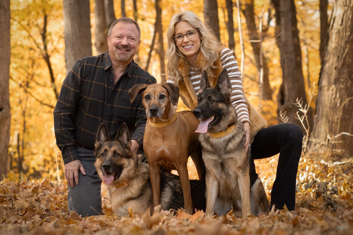 A couple poses with their three dogs in an autumn forest setting with golden leaves in the background.