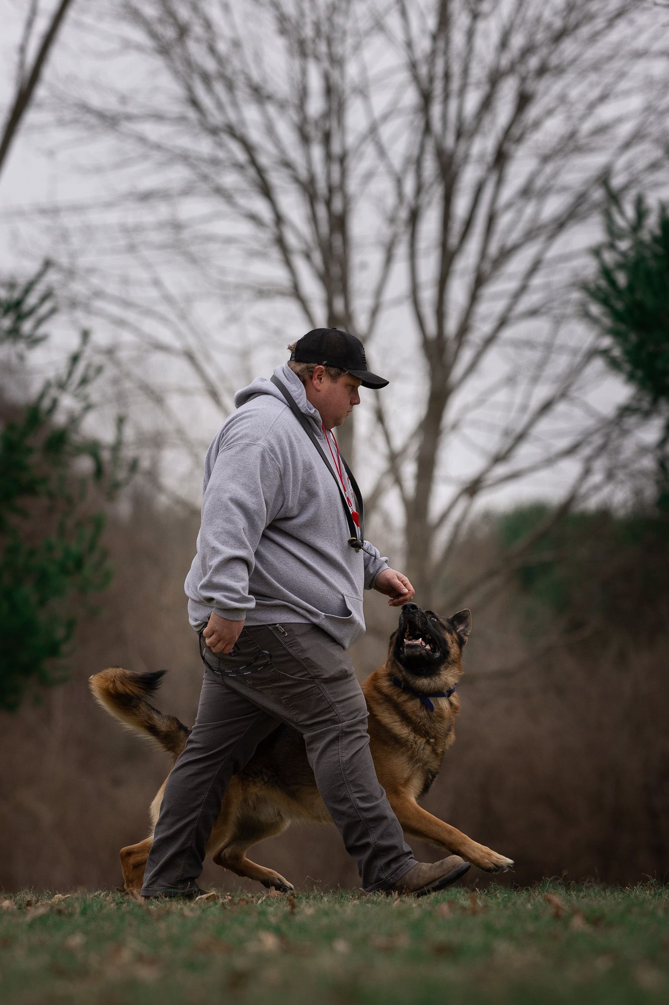 Man in gray hoodie training a German Shepherd dog outdoors in a park during overcast weather.