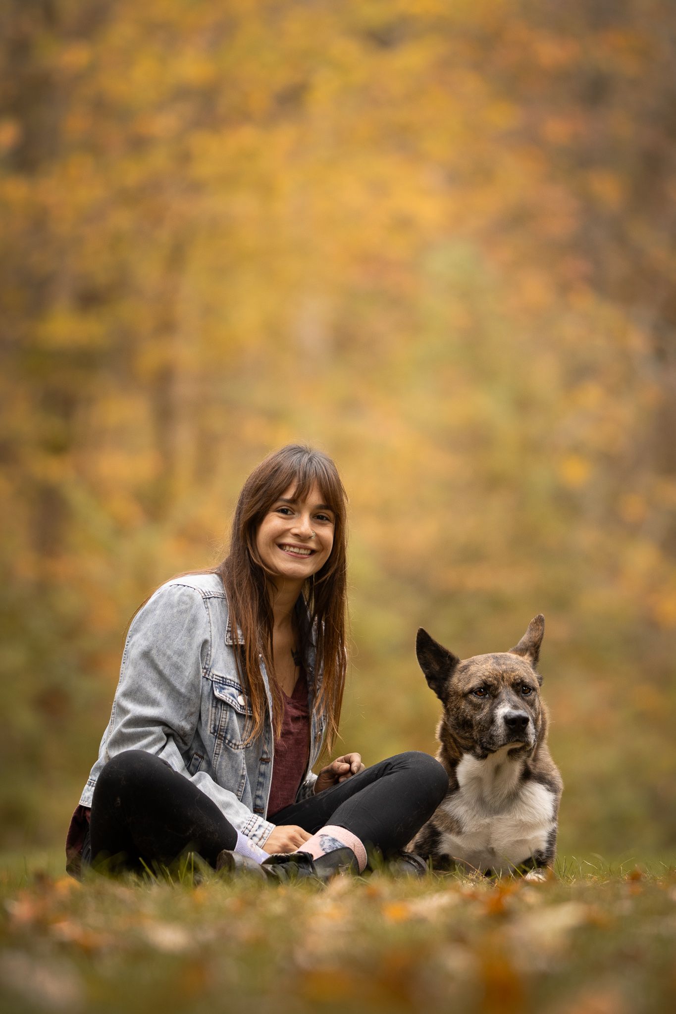 A person sits with their dog in a forest during autumn with golden foliage in the background.