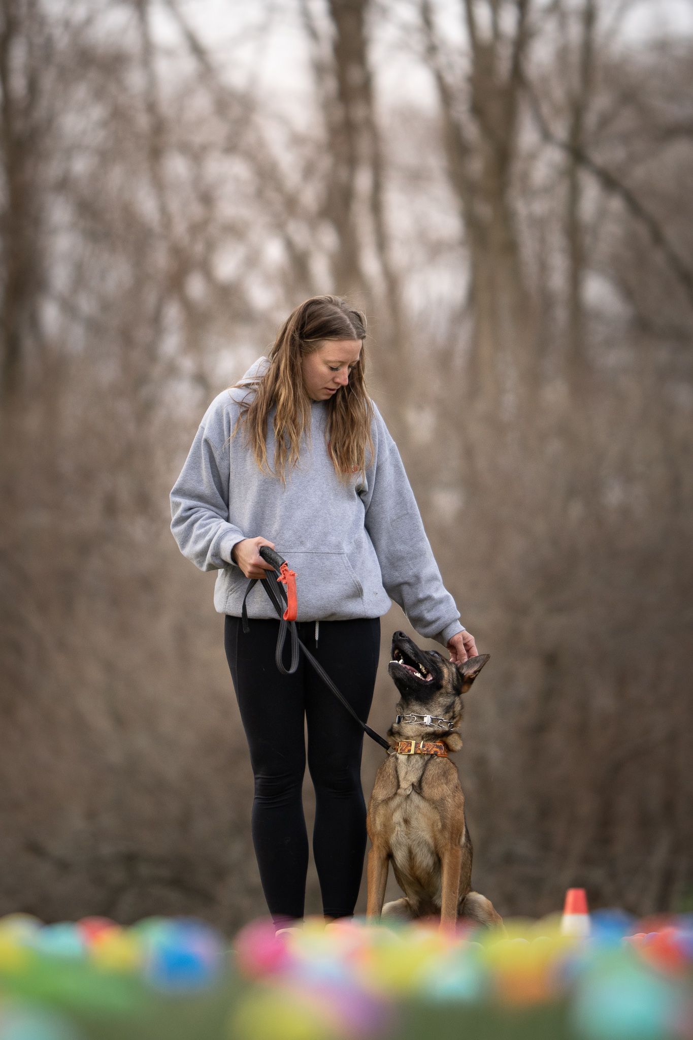 A dog and owner practice training exercises outdoors with colorful toys spread across the ground.