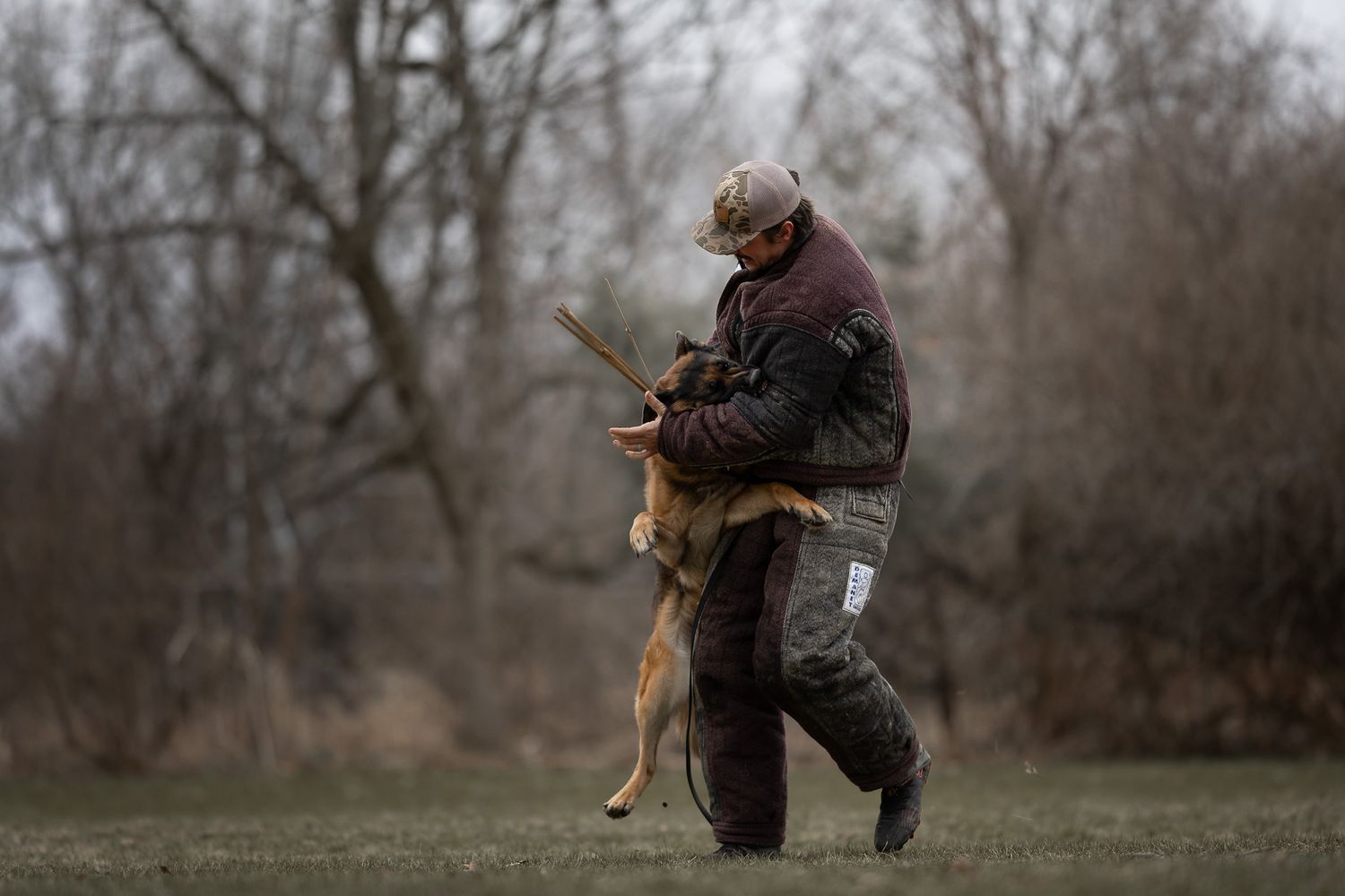 A man in camouflage trains a German Shepherd dog outdoors in a field with bare trees in the background.