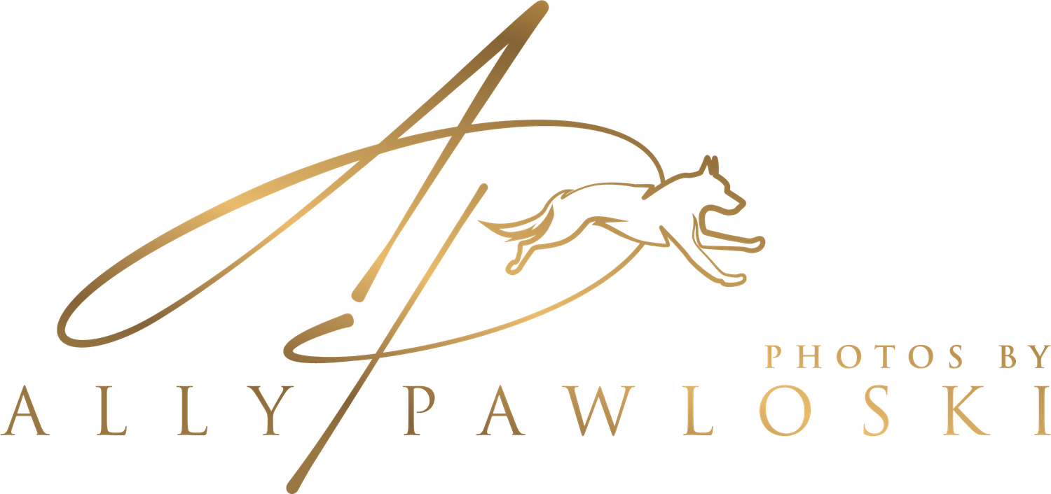 Elegant gold calligraphy text reading 'Ally Pawloski' with 'Photos By' in smaller text above on a white background.