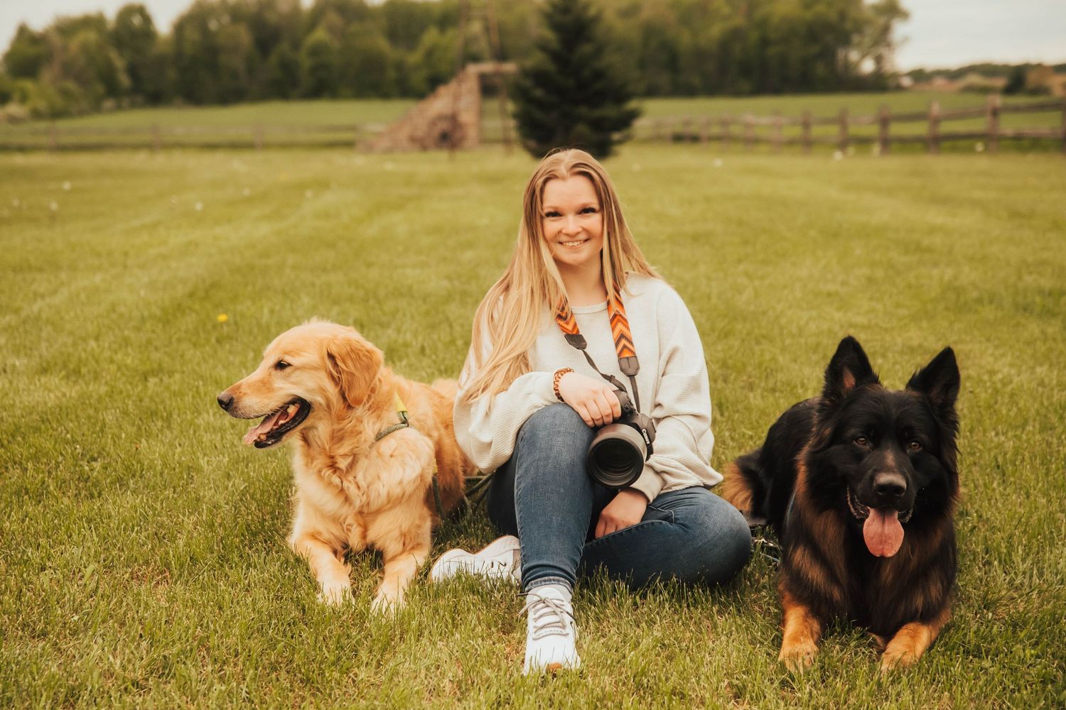 Two dogs, a Golden Retriever and German Shepherd, sit in a grassy field with someone on a sunny afternoon.