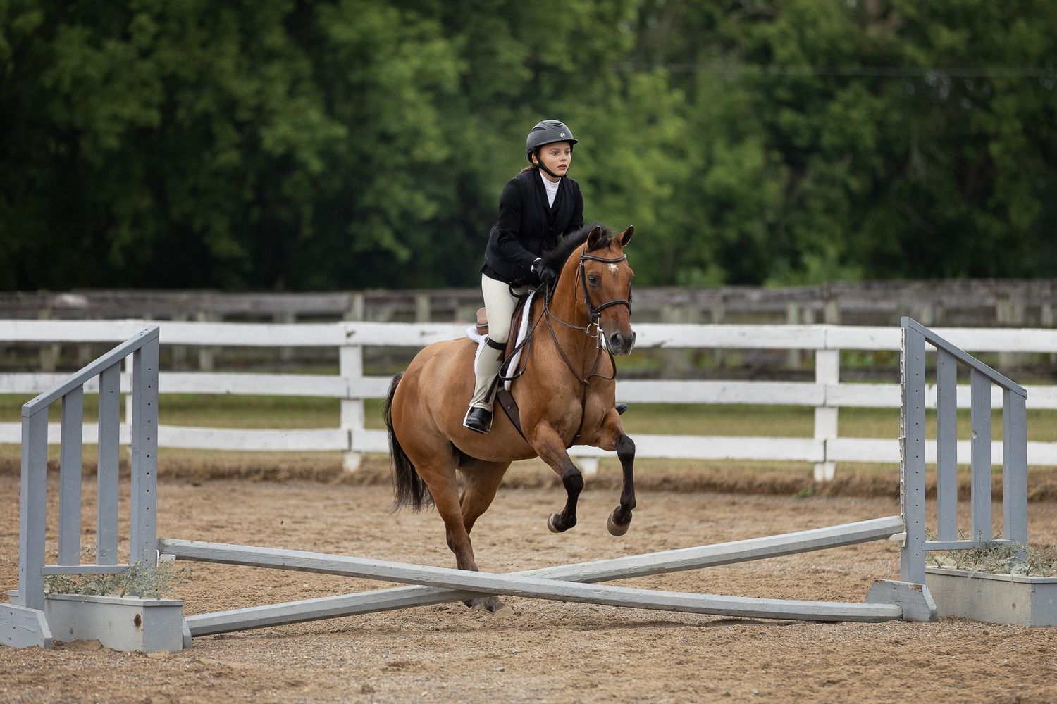 Young equestrian rider in helmet and white shirt on chestnut horse trotting near show jumping poles in sandy arena.