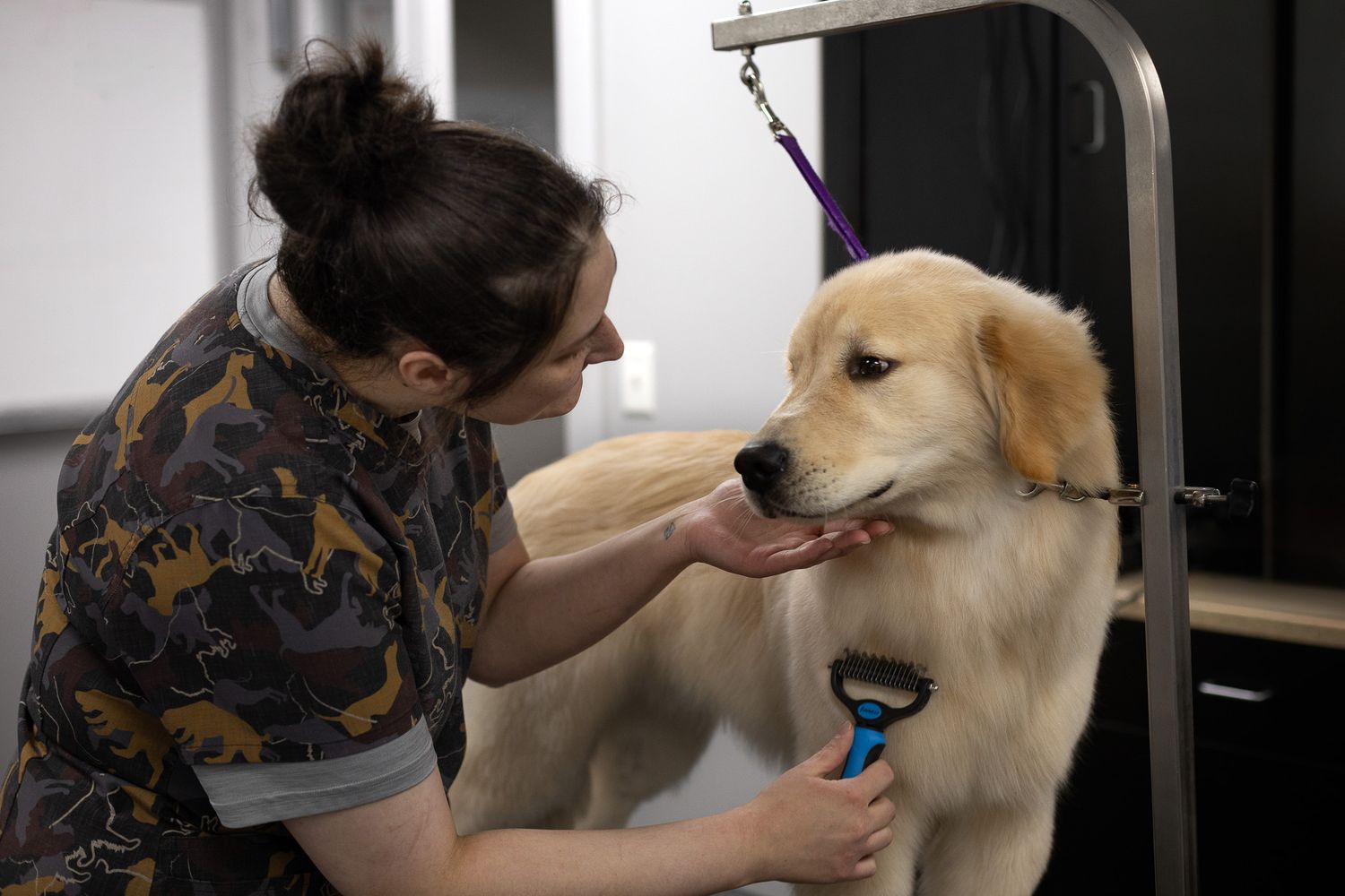 A professional groomer brushing a golden retriever dog on a grooming table in a pet salon.